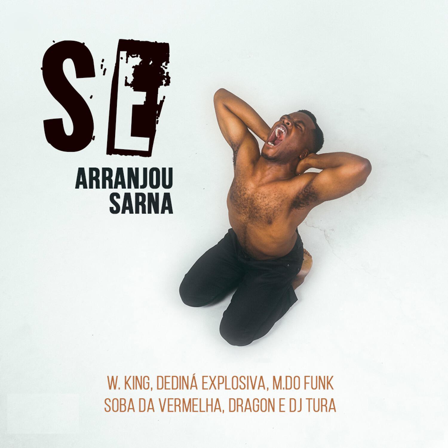 Релиз Se Arranjou Sarna