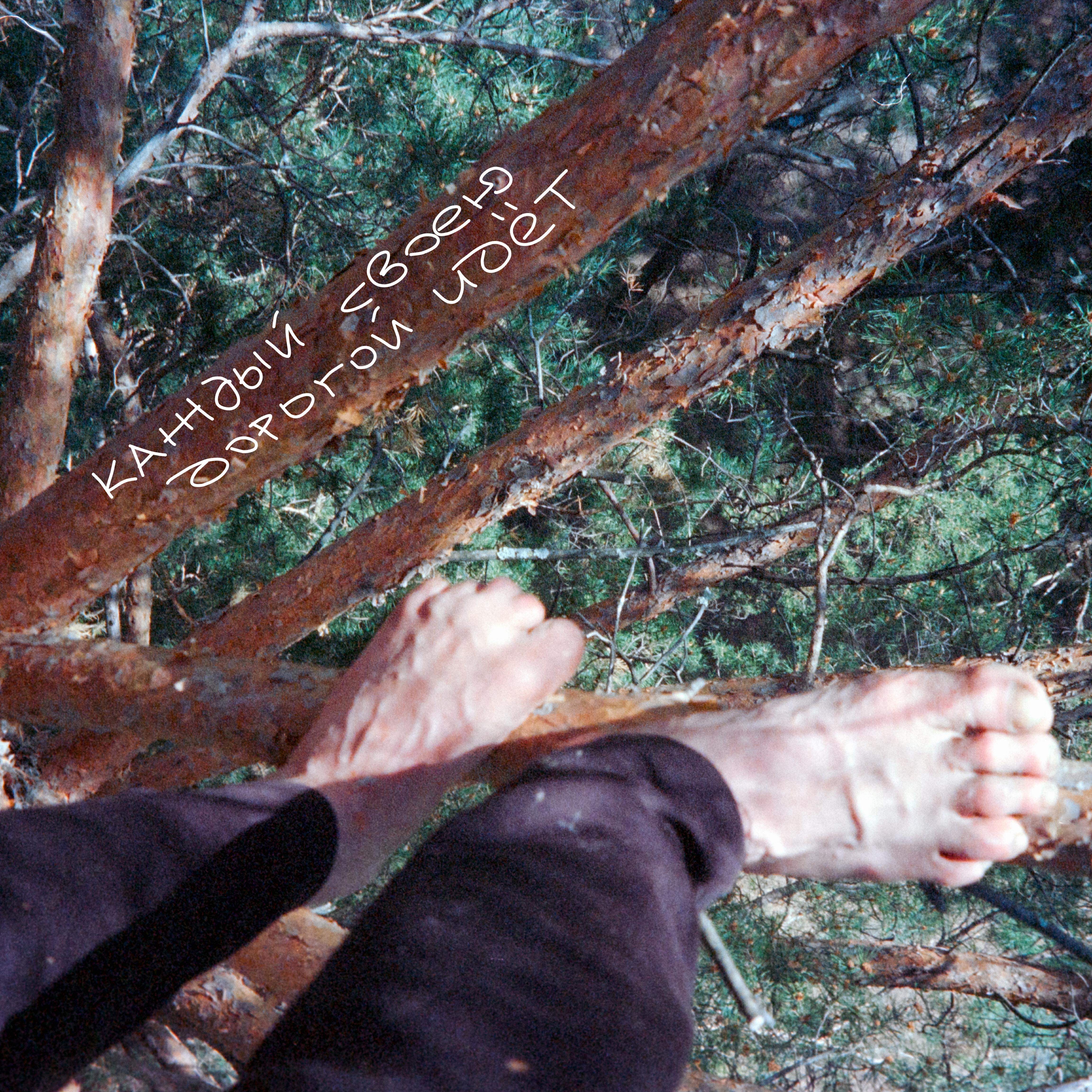 Релиз Каждый своею дорогой идёт