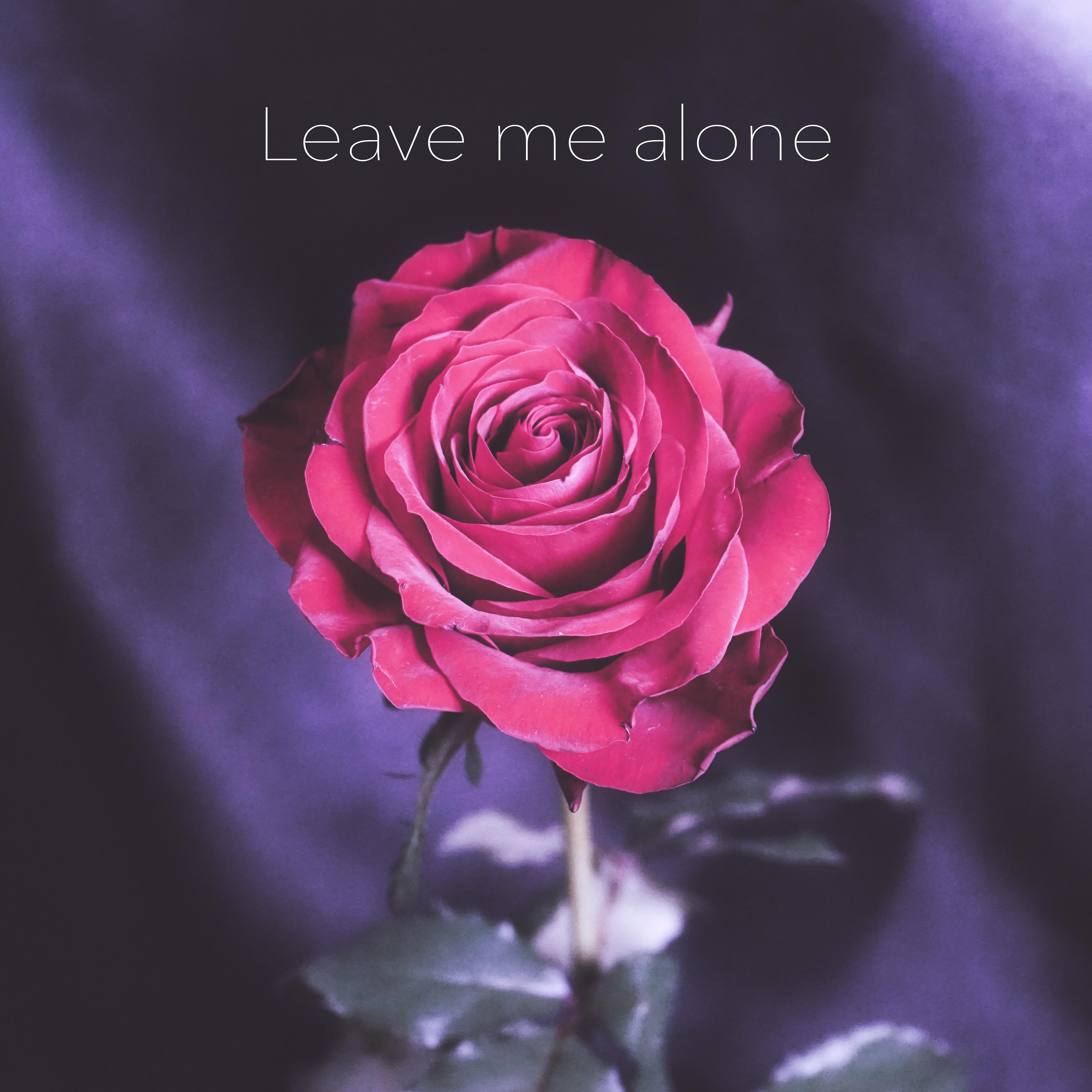 Релиз Leave me alone