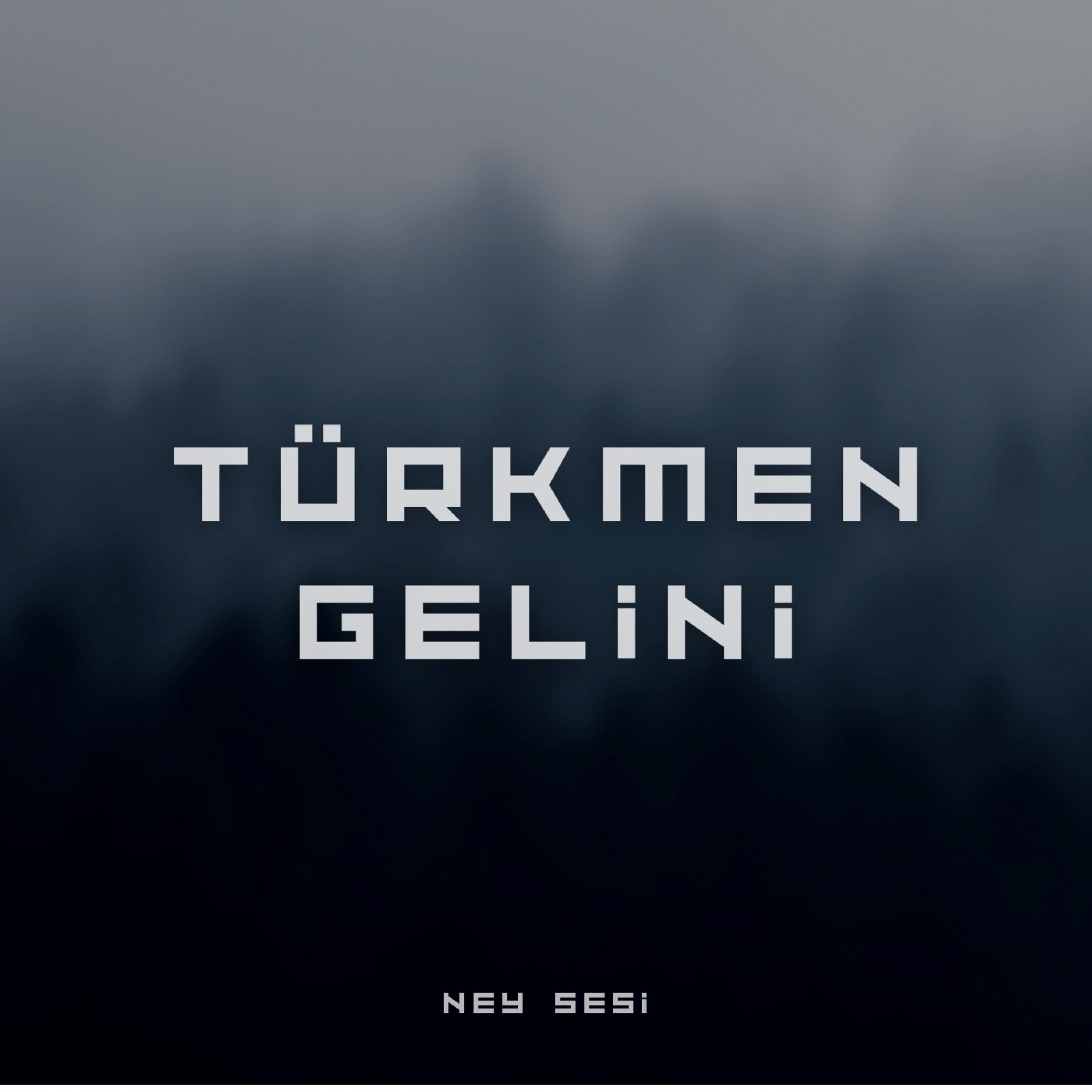Релиз Türkmen Gelini