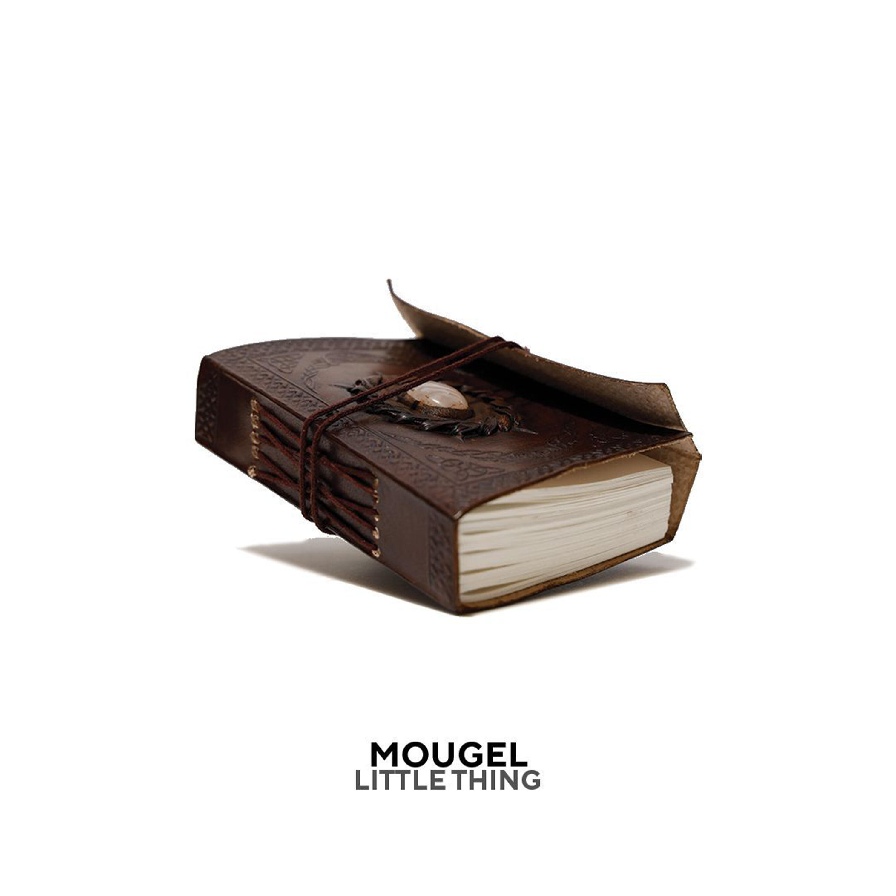 Релиз Little Thing