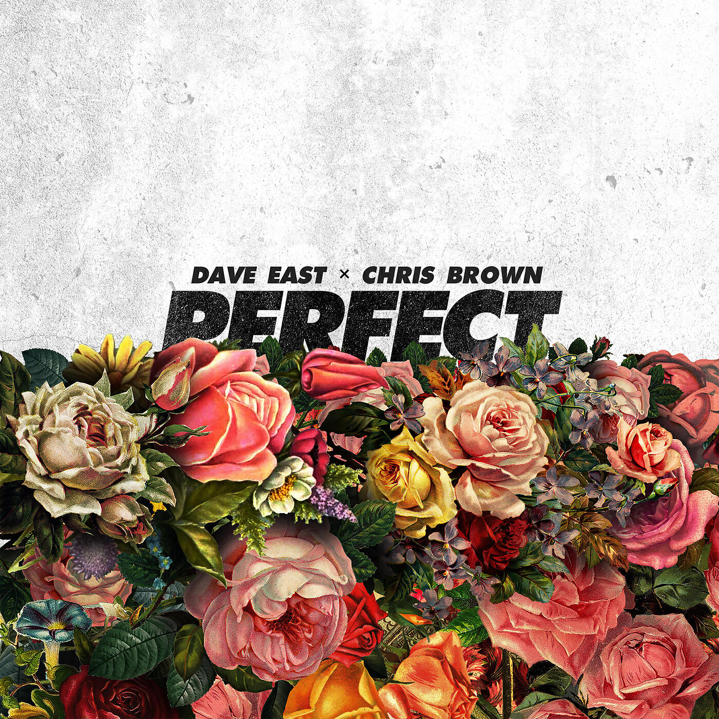 Релиз Perfect
