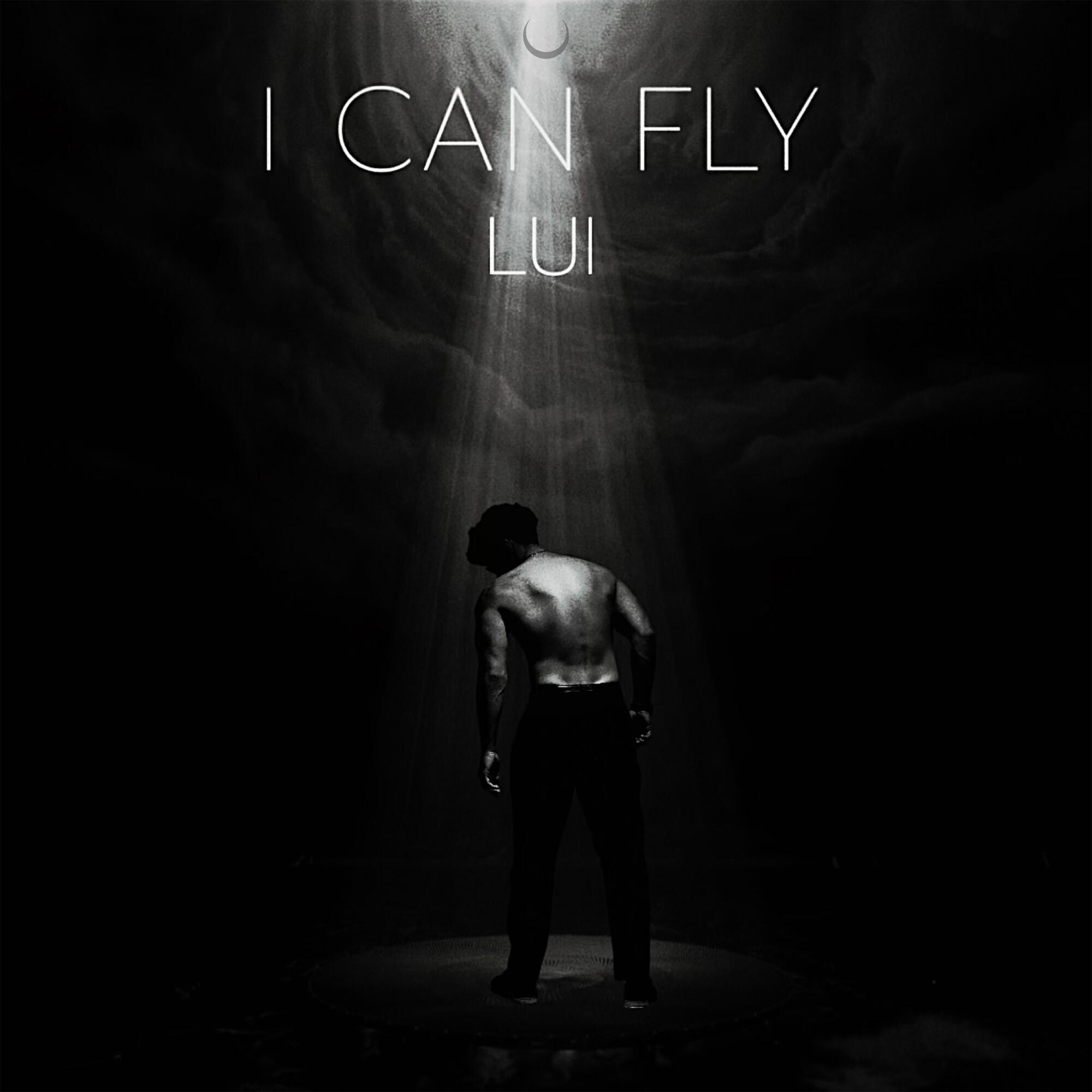 Постер альбома I can fly