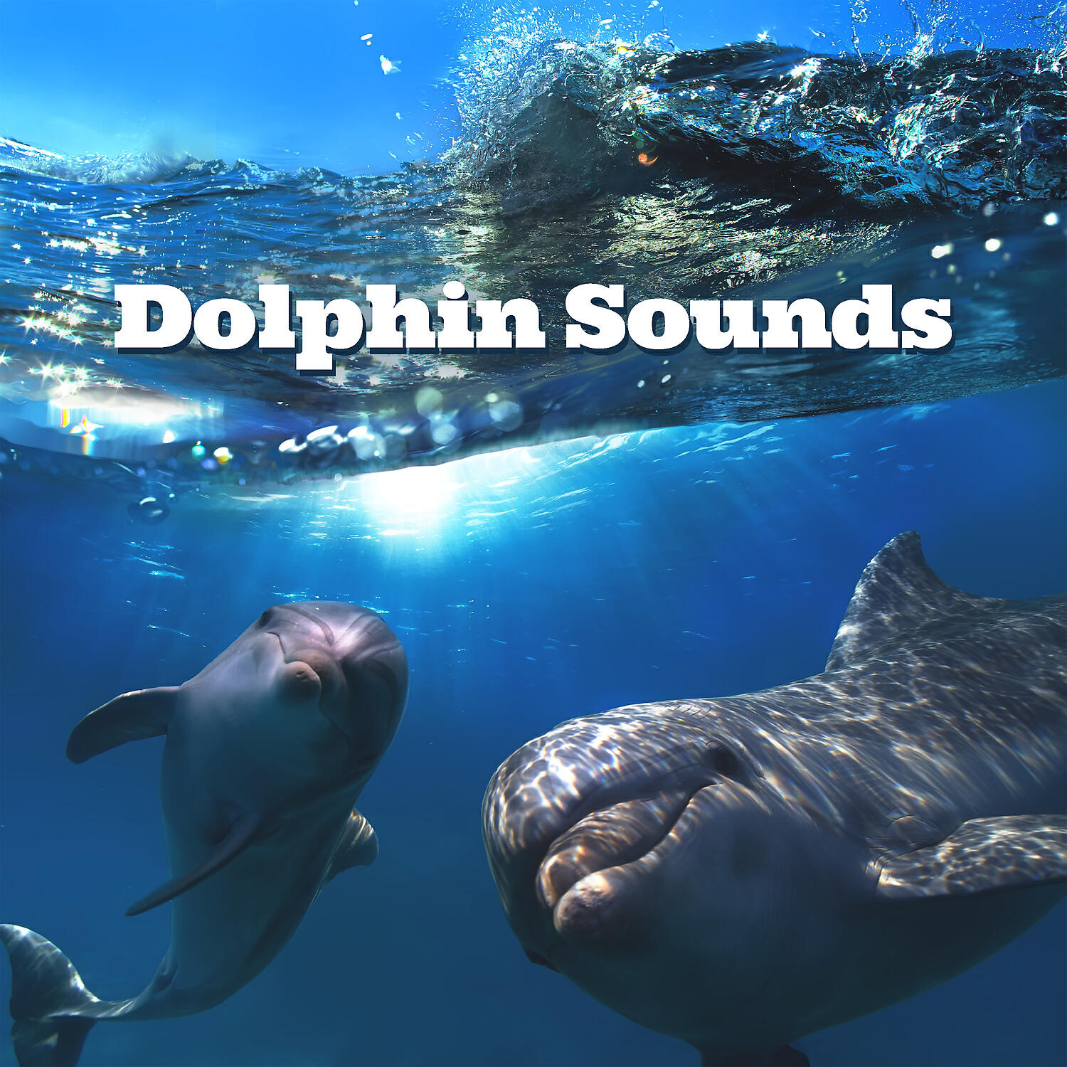 Релиз Dolphin Sounds: Healing Water Therapy for Harmony, Deep Sleep & Meditation