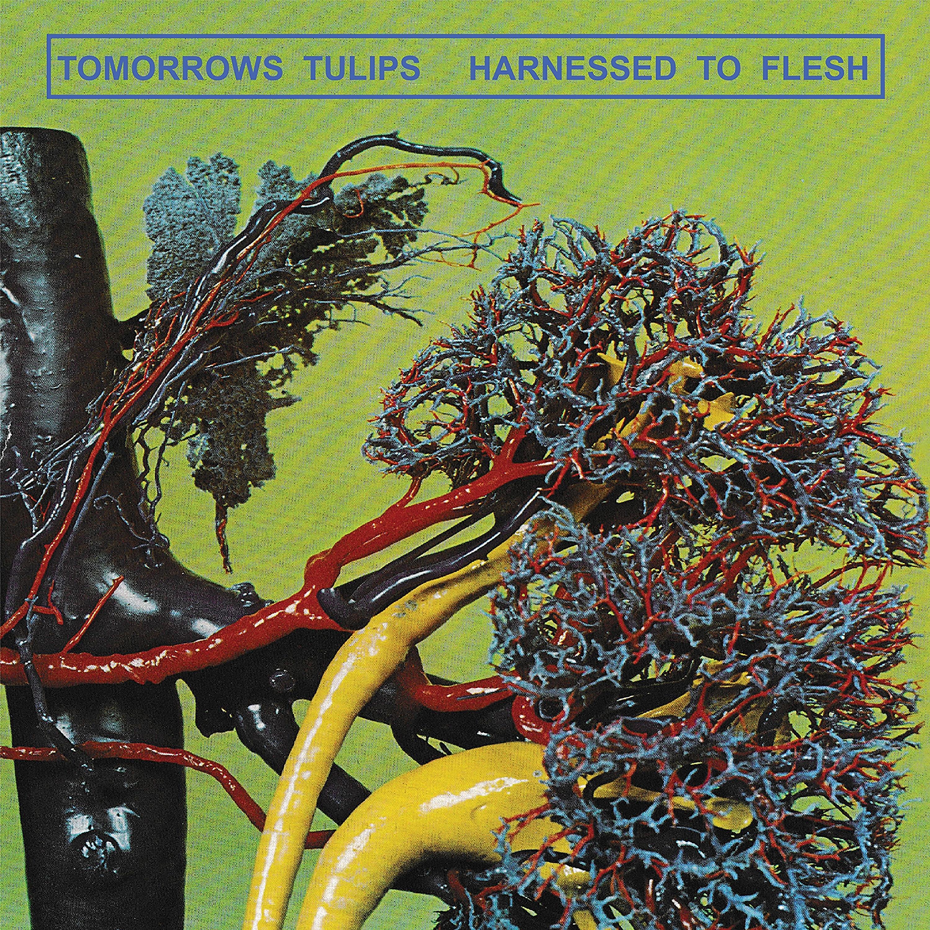Релиз Harnessed To Flesh