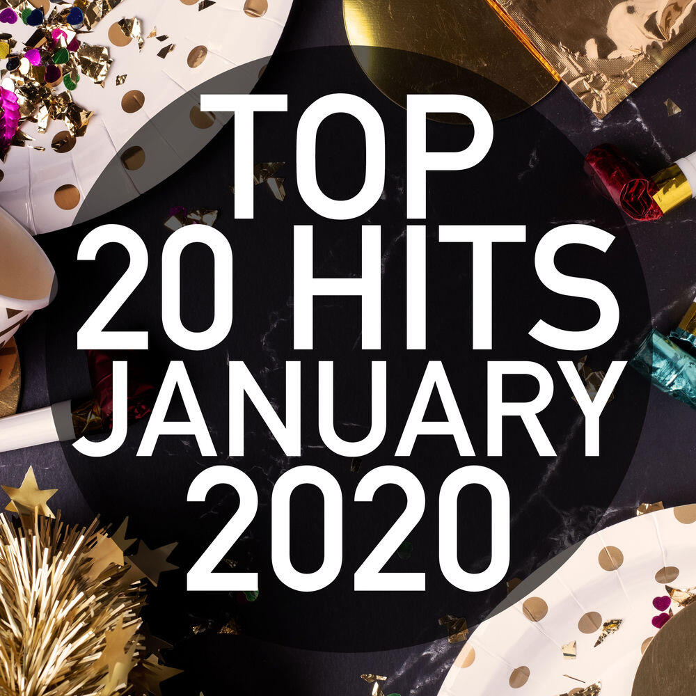 Релиз Top 20 Hits January 2020 (Instrumental)