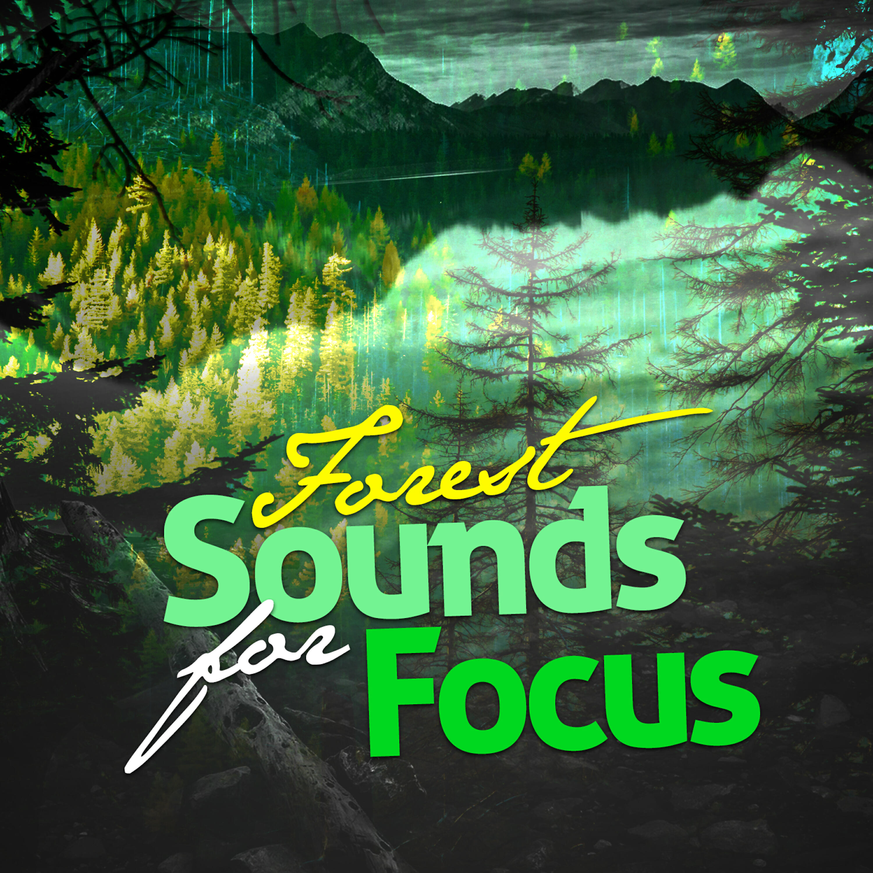 Релиз Forest Sounds for Focus