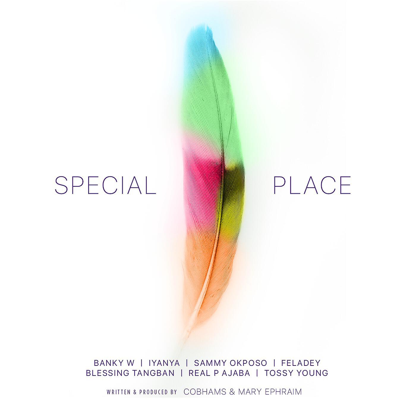 Релиз Special Place (Calabar Carnival)