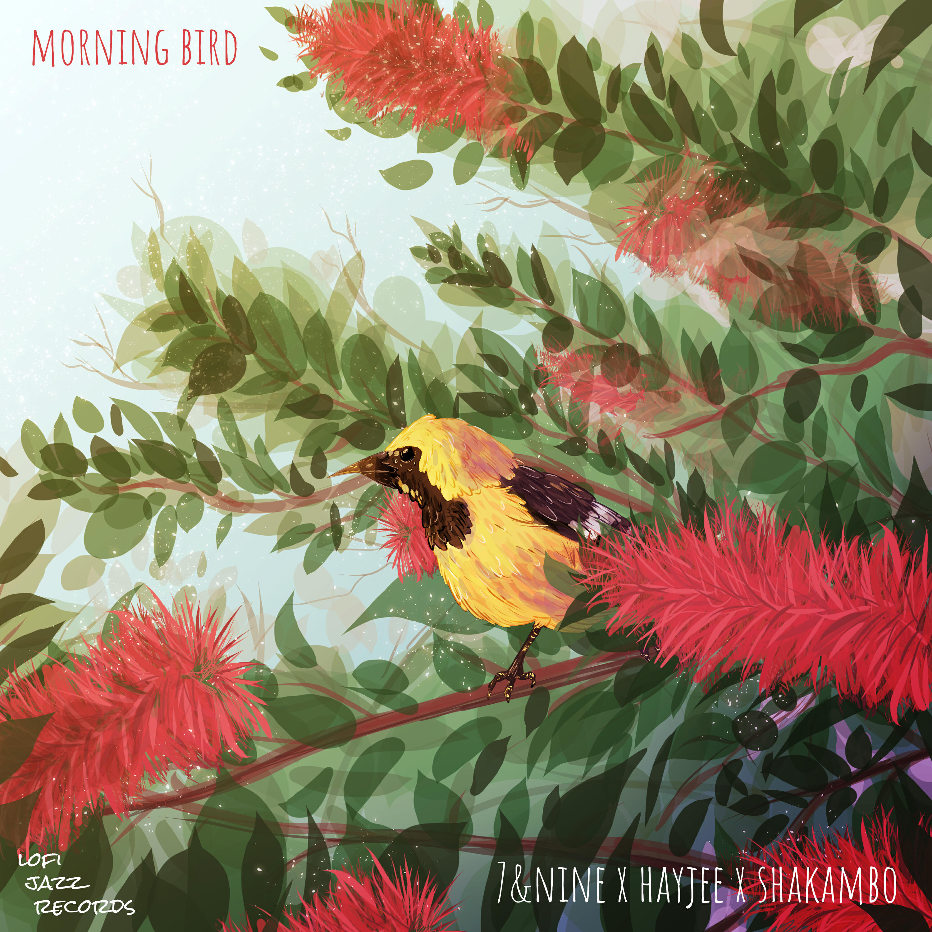 Релиз Morning Bird