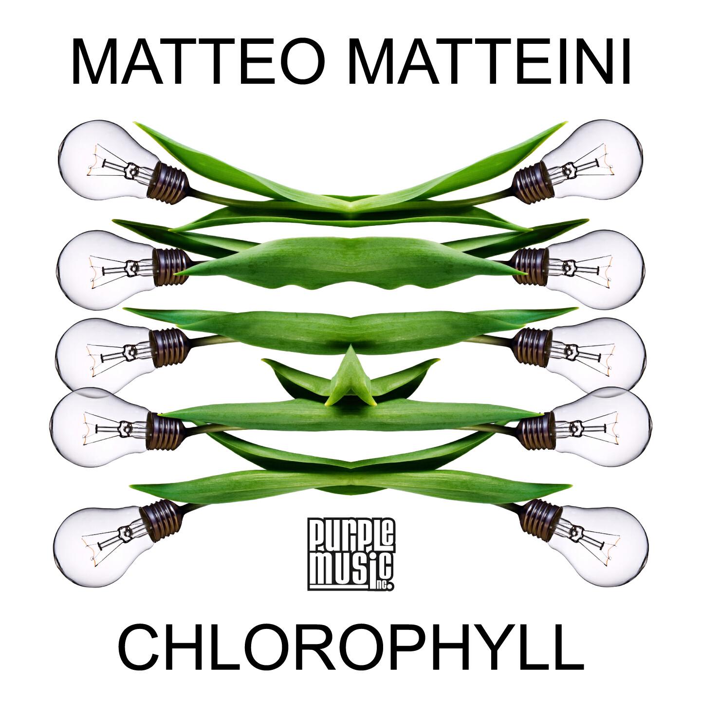 Релиз Chlorophyll