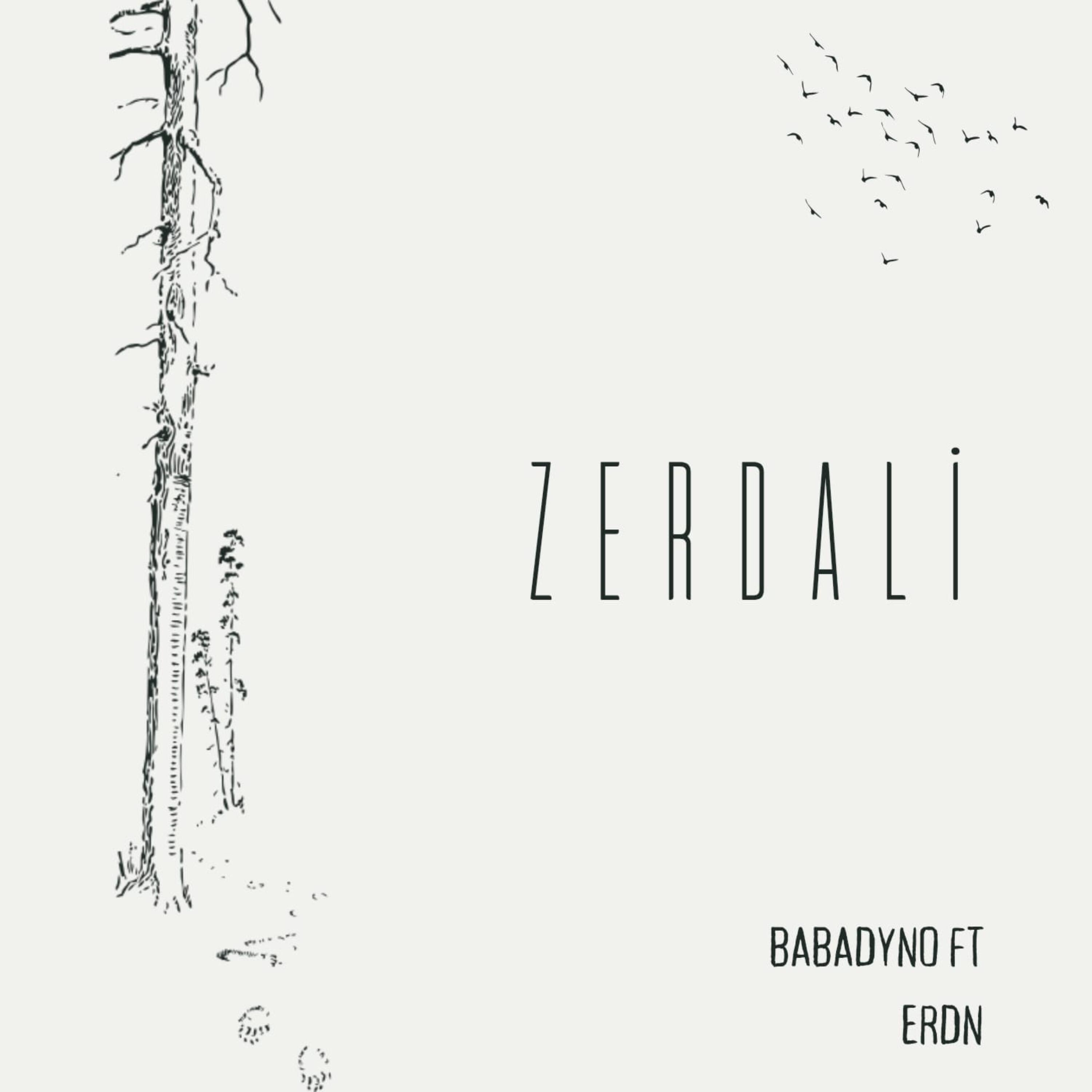 Релиз Zerdali