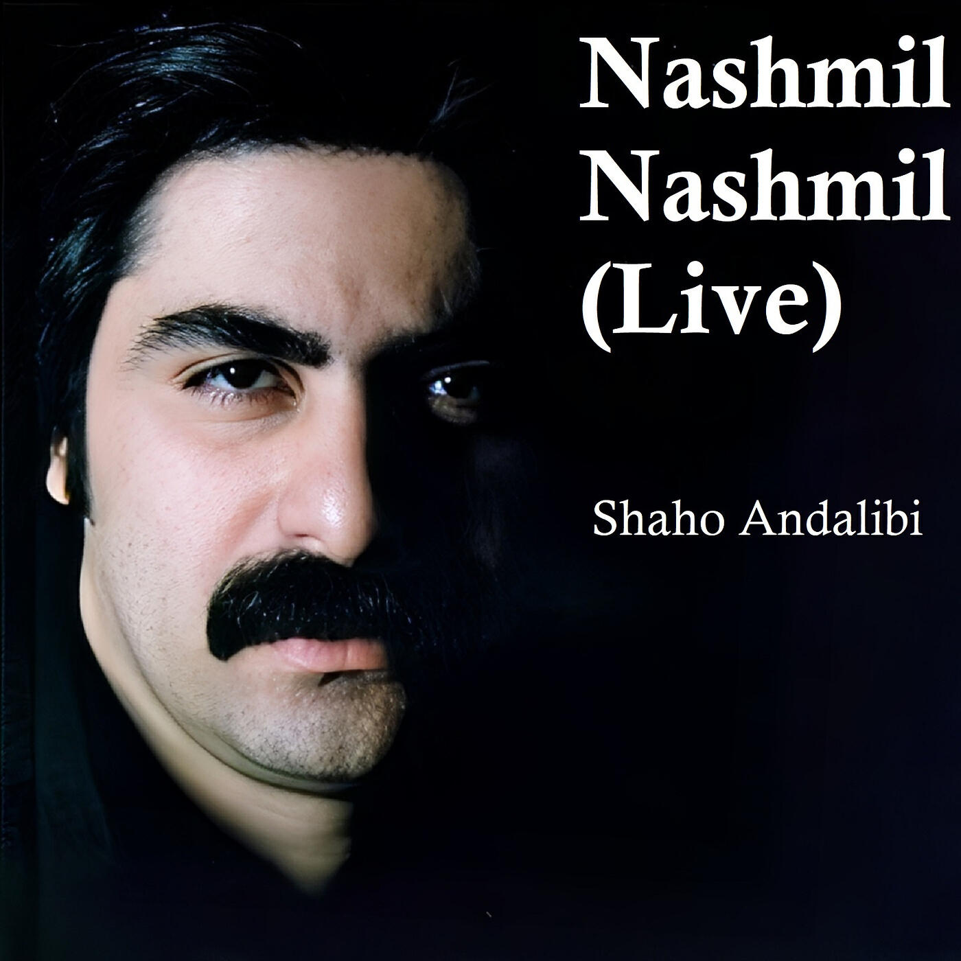 Shaho Andalibi