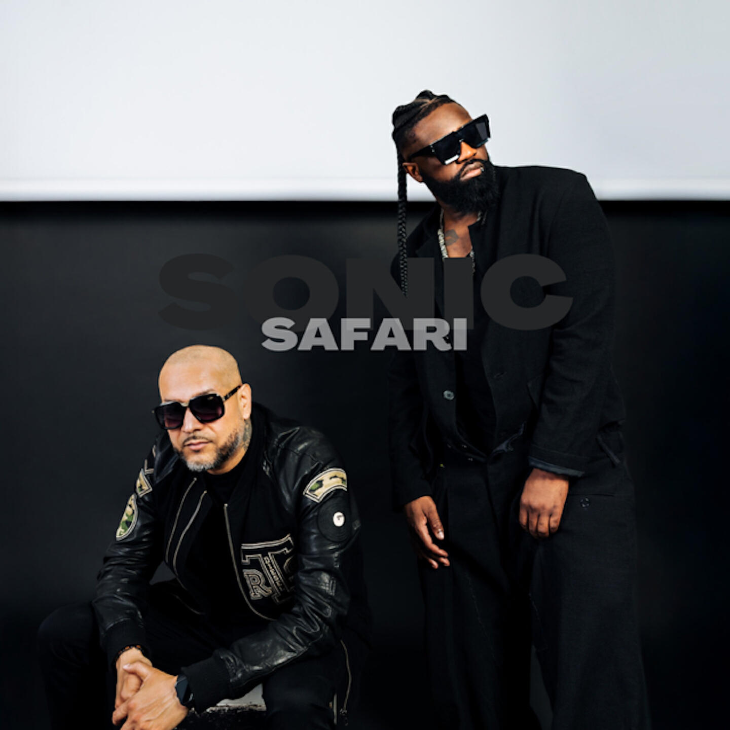 Релиз Sonic Safari