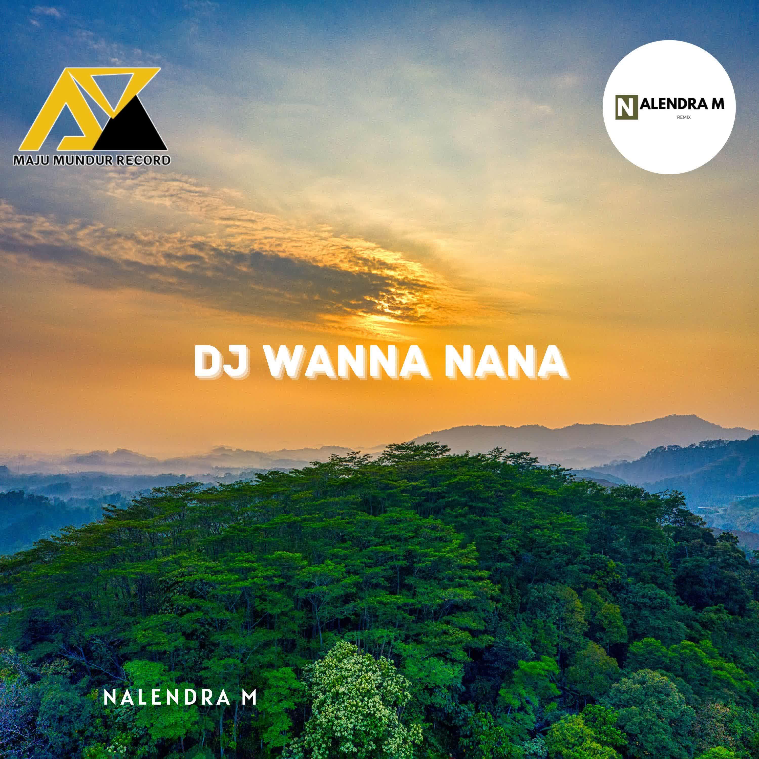 Релиз DJ Wanna Nana