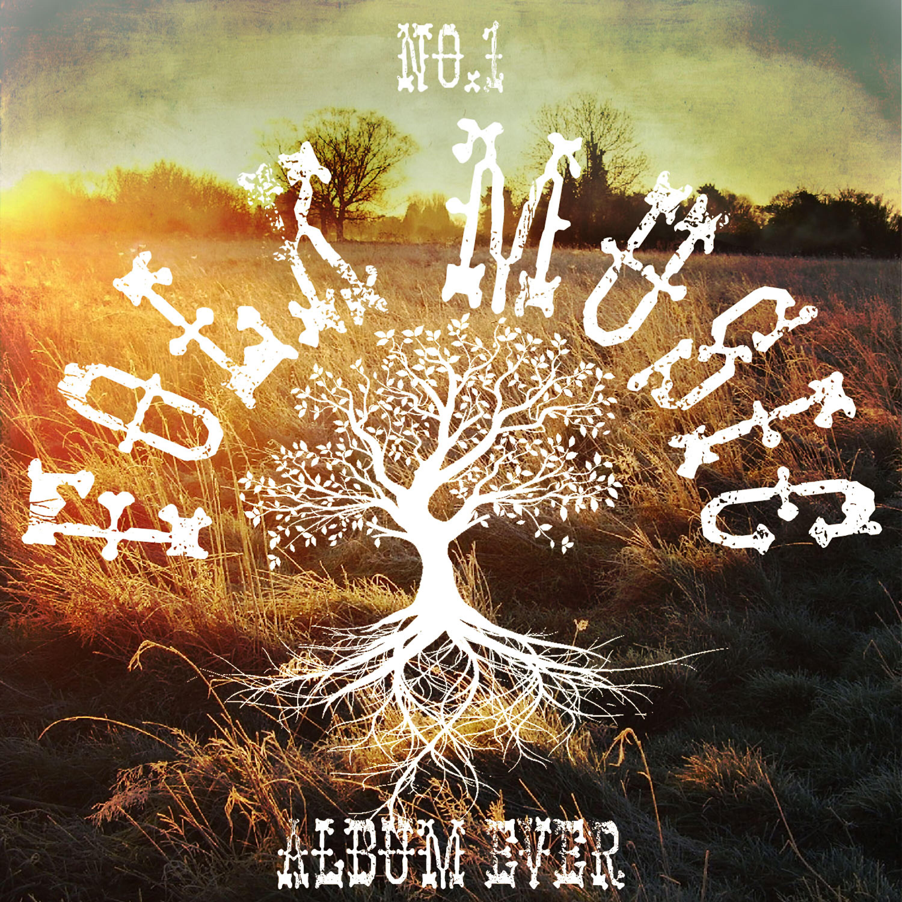 Релиз No. 1 Folk Music Album Ever