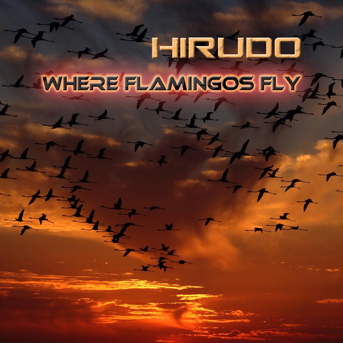 Релиз Where Flamingos Fly
