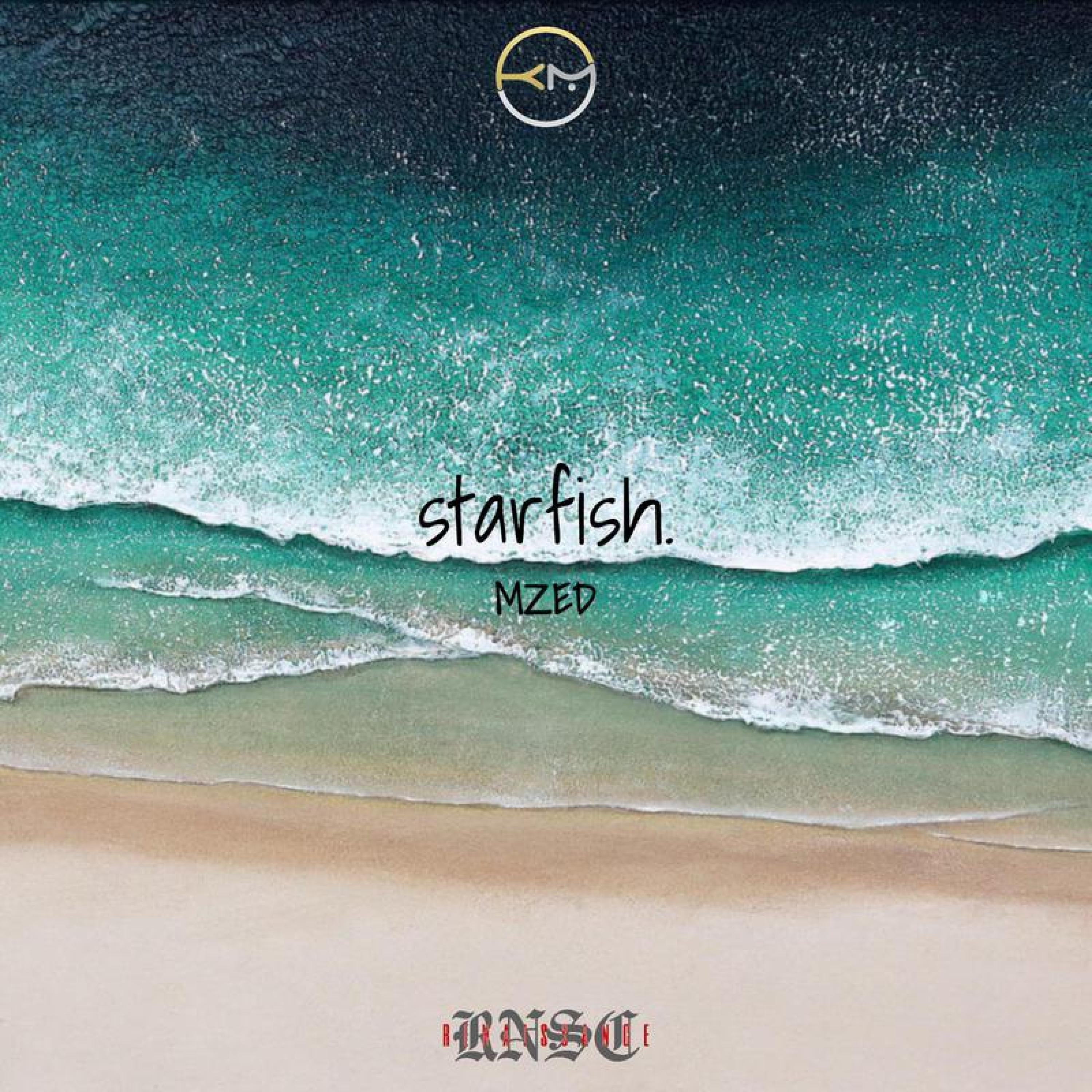 Релиз 海星之旅