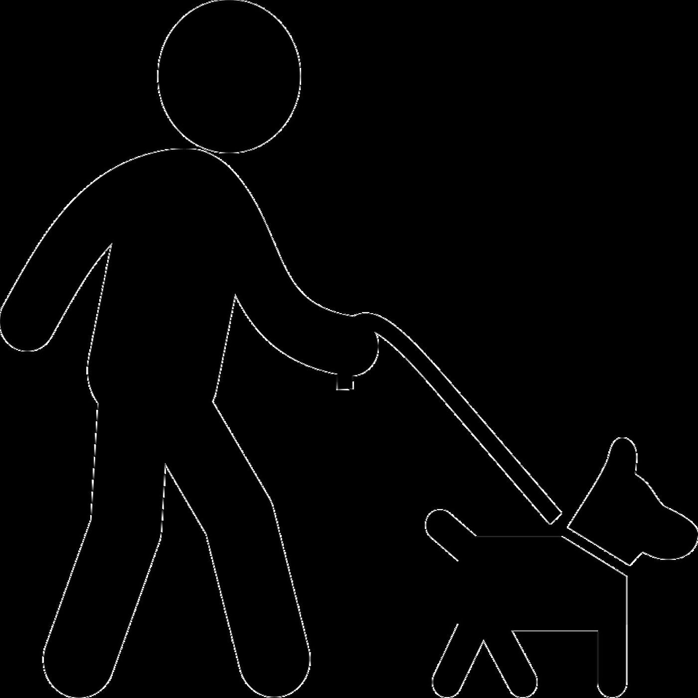 Релиз Dog Walking