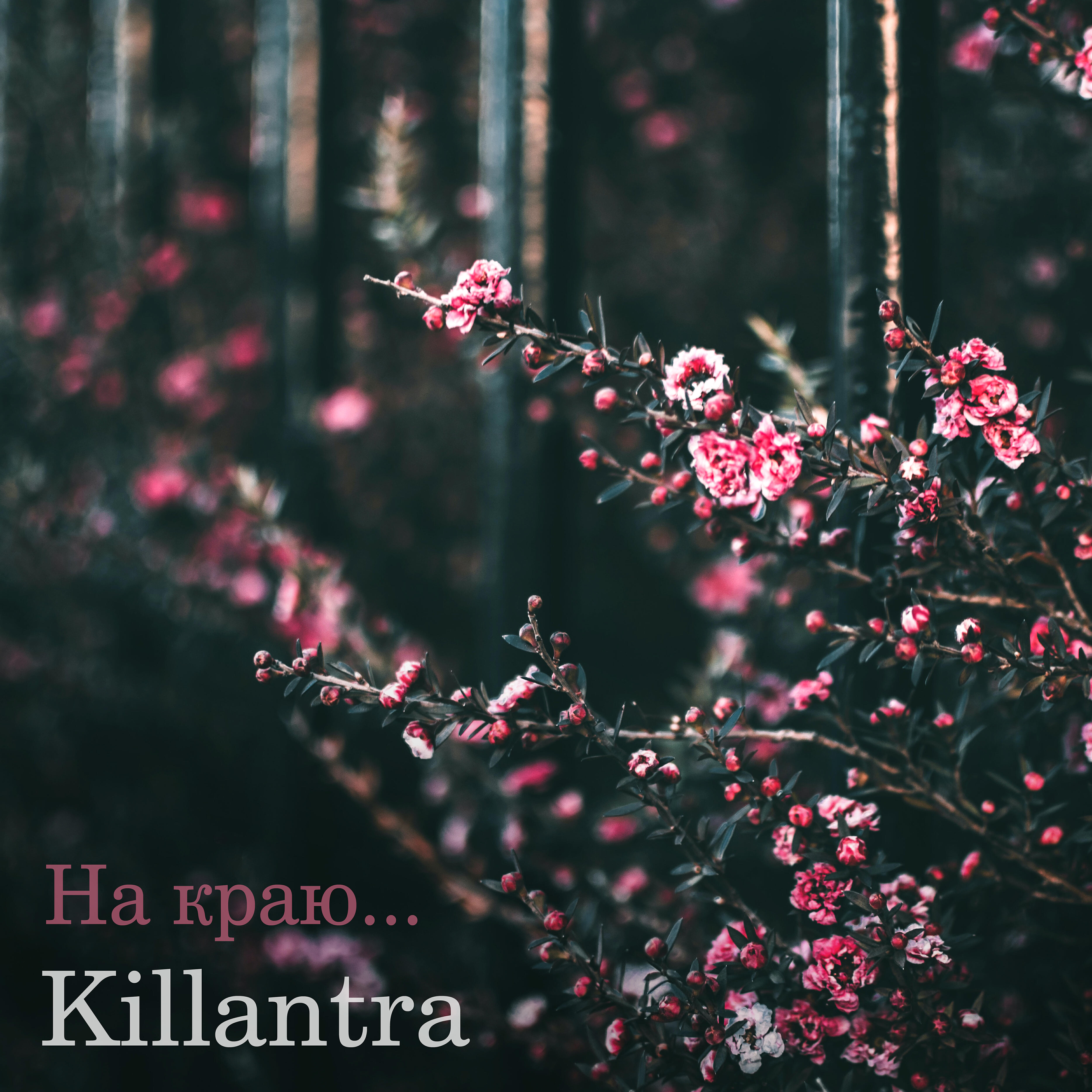 Релиз На краю