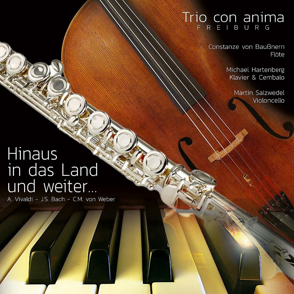 Релиз Hinaus in Das Land Und Weiter