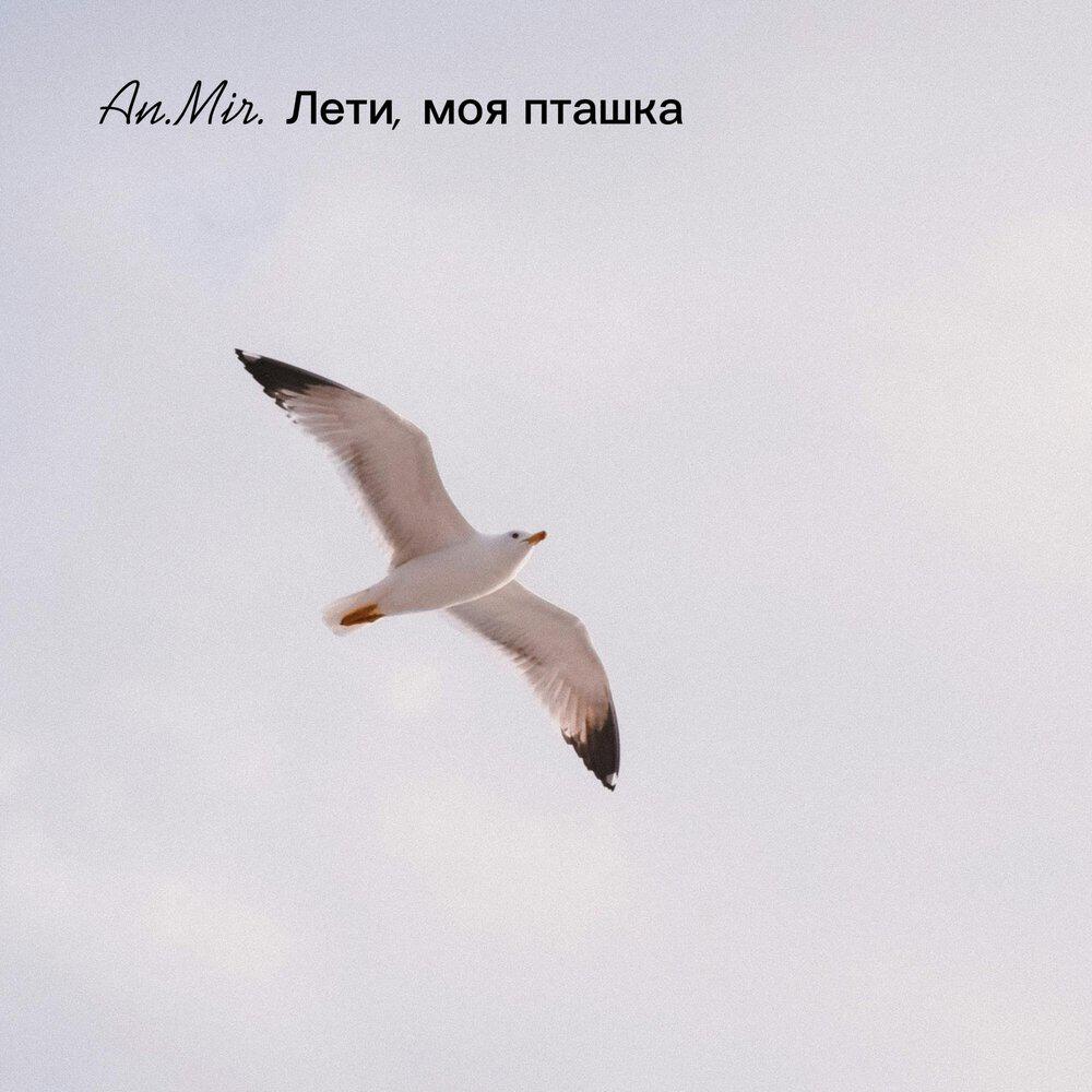 Релиз Лети, моя пташка