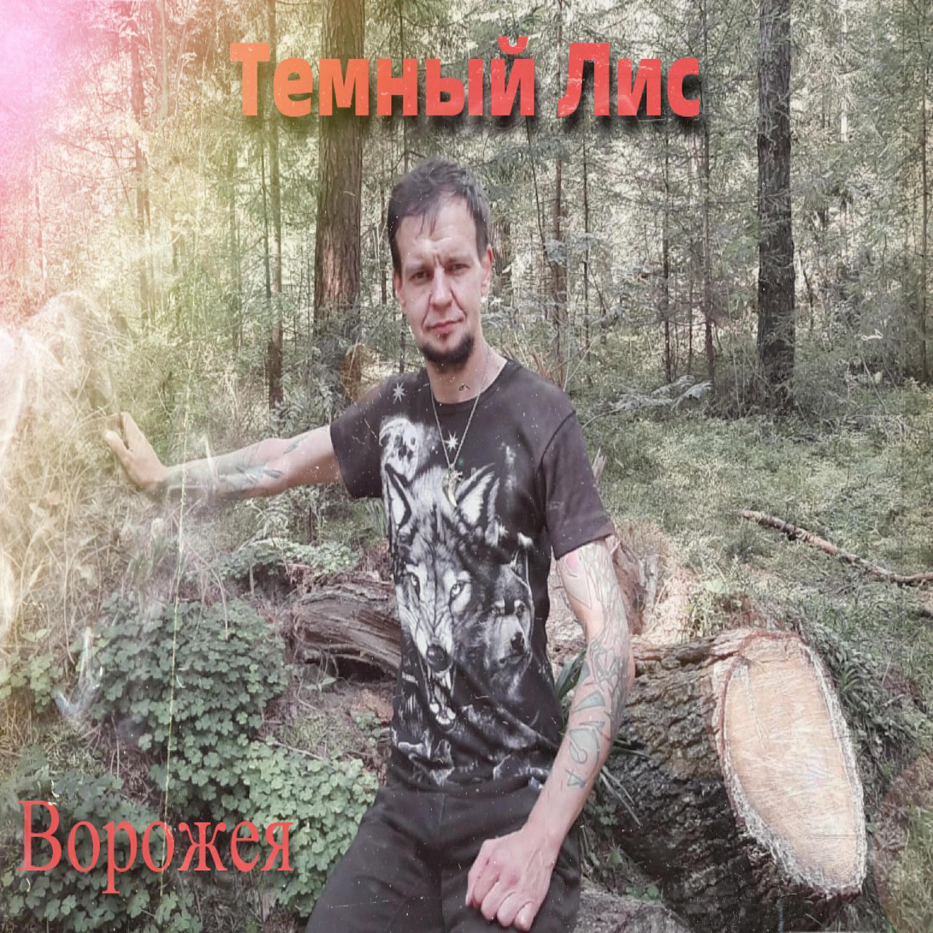 Темный Лис