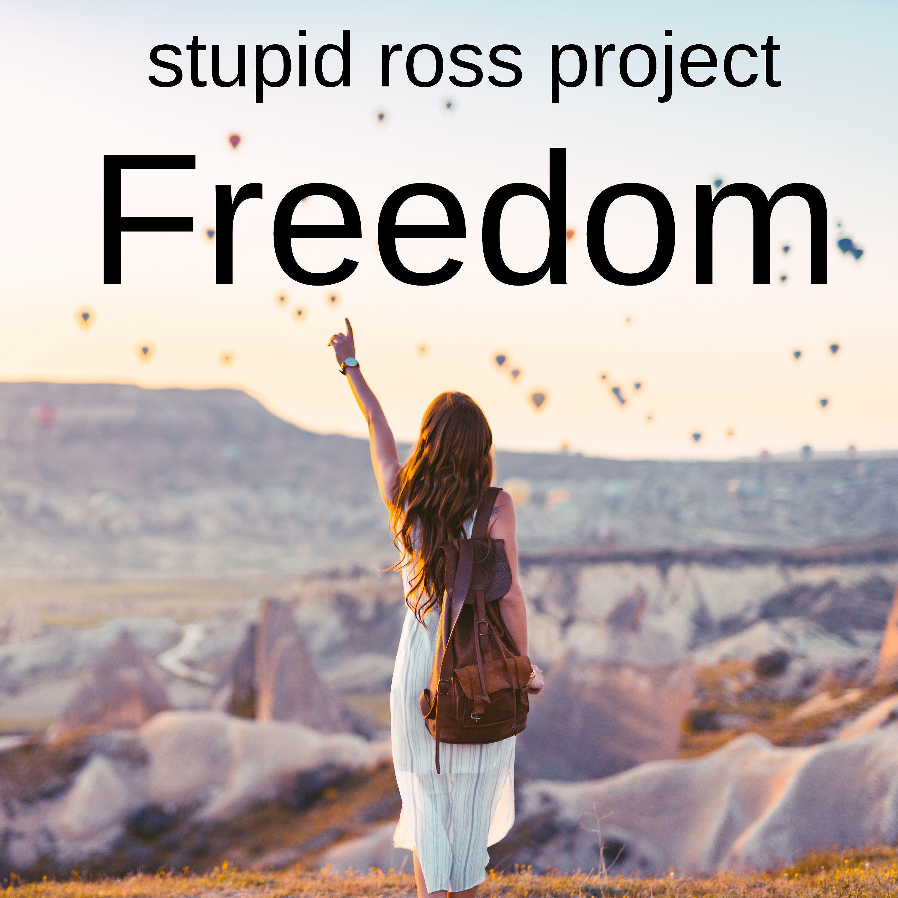 Релиз Freedom