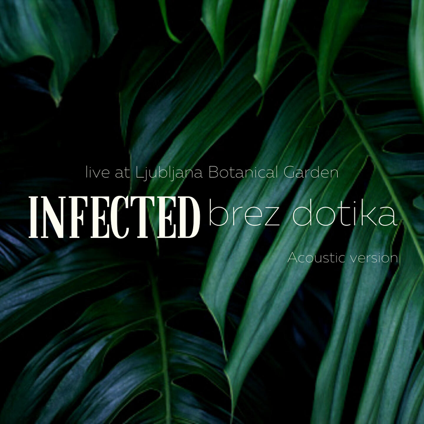 Релиз Brez dotika