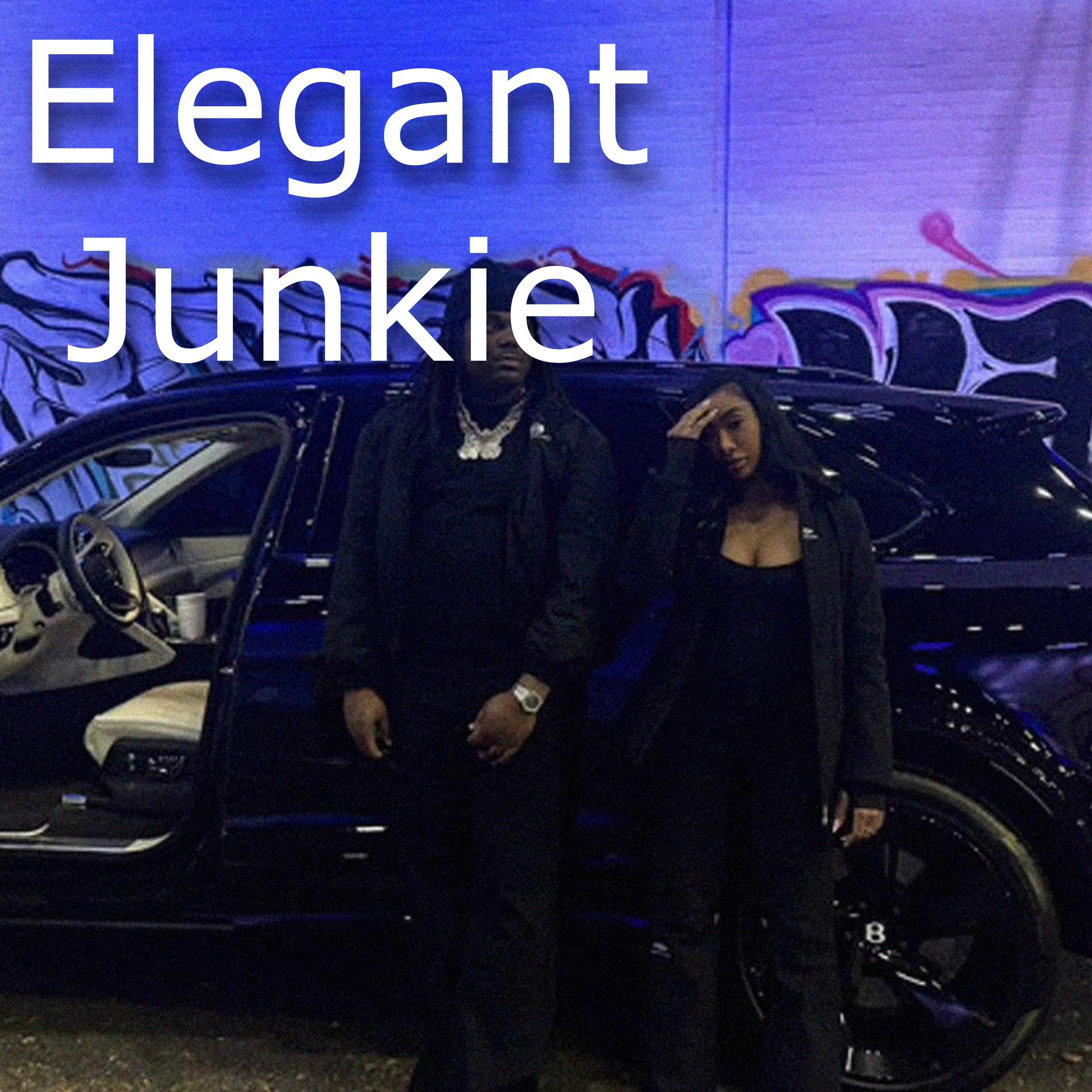 Скачать песню Bucky - Elegant Junkie бесплатно в MP3 для Android и iOS