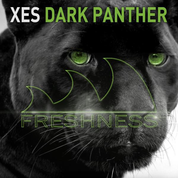 Релиз Dark Panther