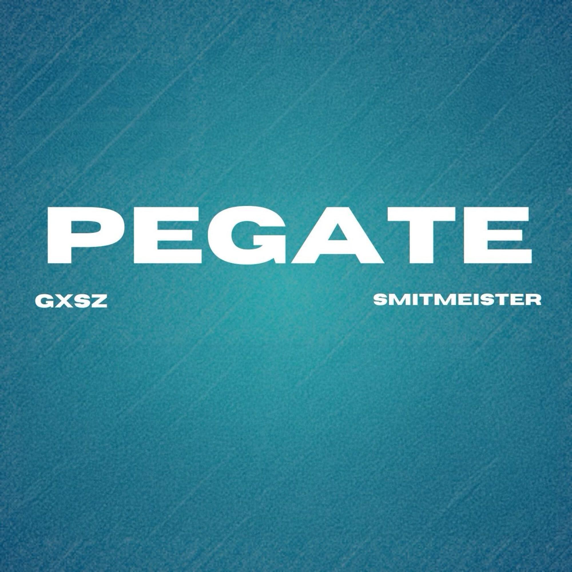 Релиз Pegate