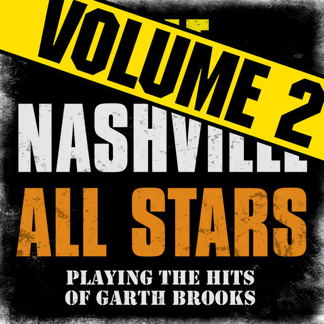 Релиз Playing the Hits of Garth Brooks, Vol. 2
