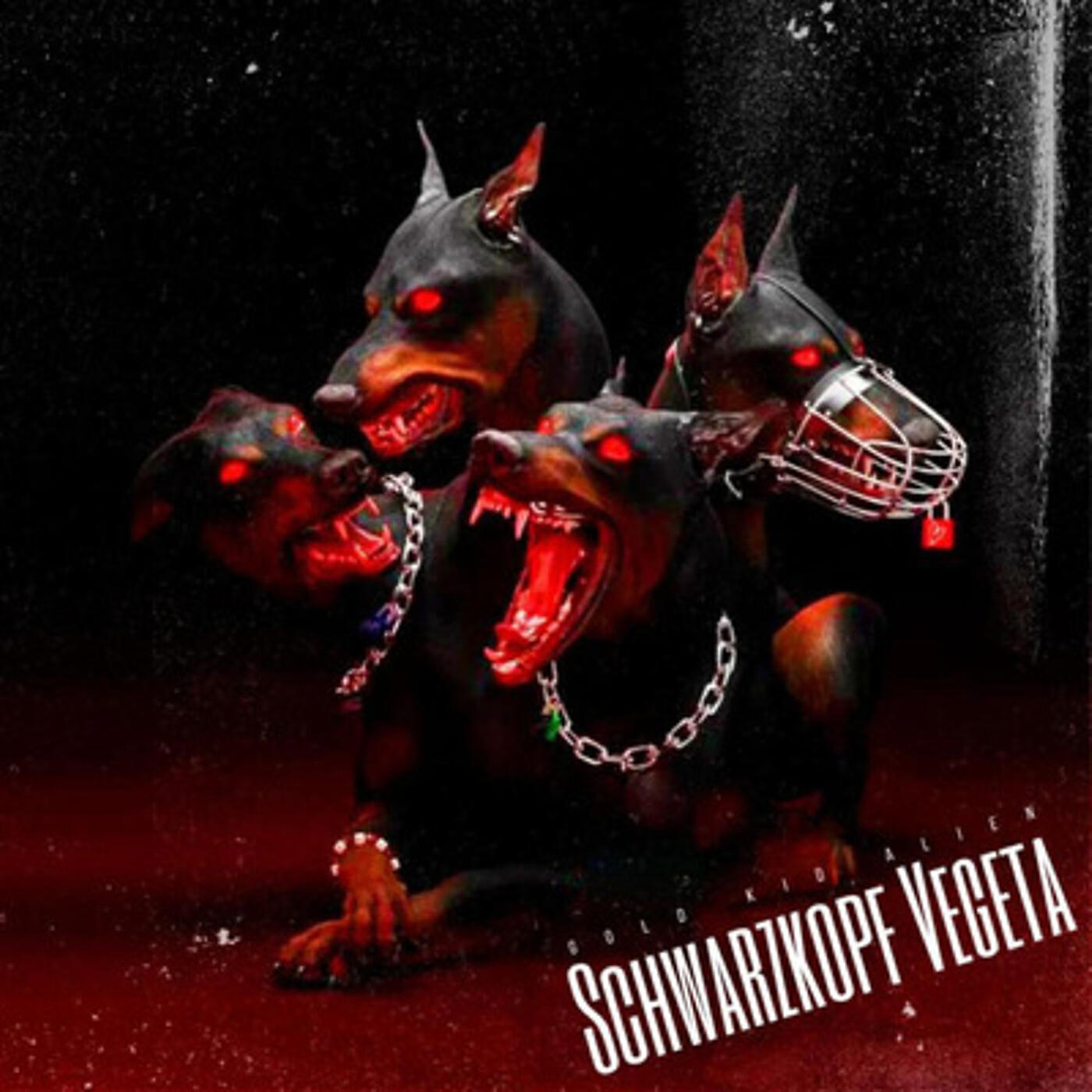 Релиз Schwarzkopf Vegeta