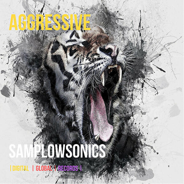 SamplowSonics