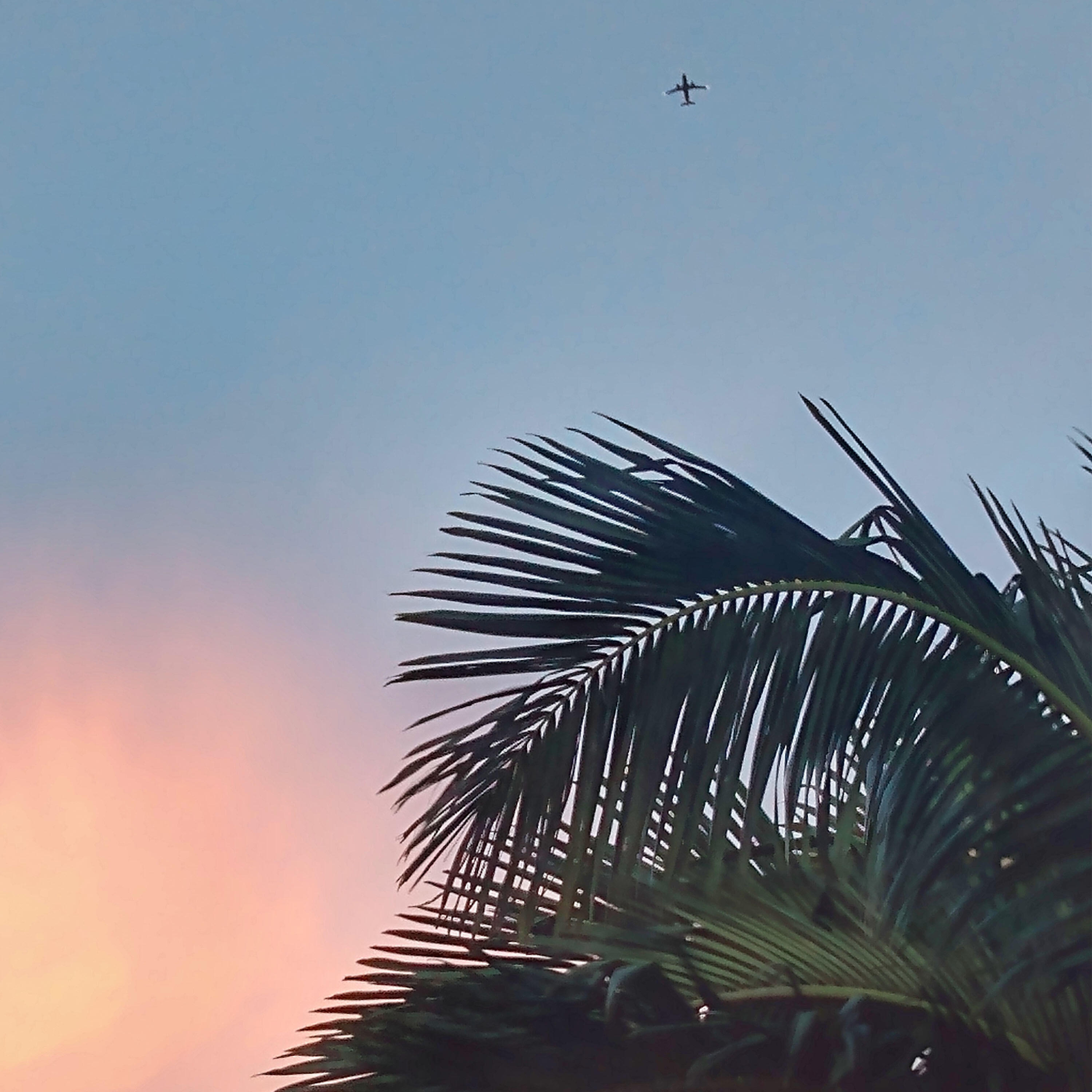 Релиз Flight