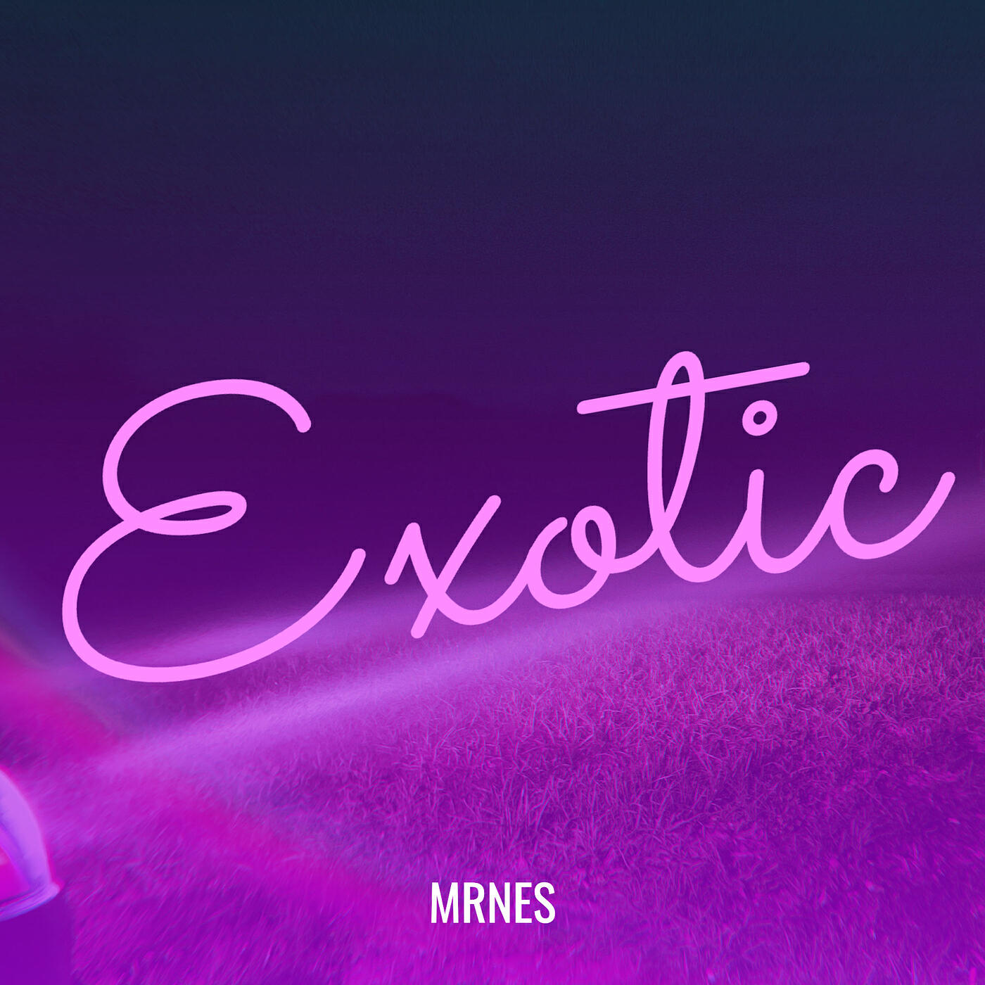 Релиз Exotic