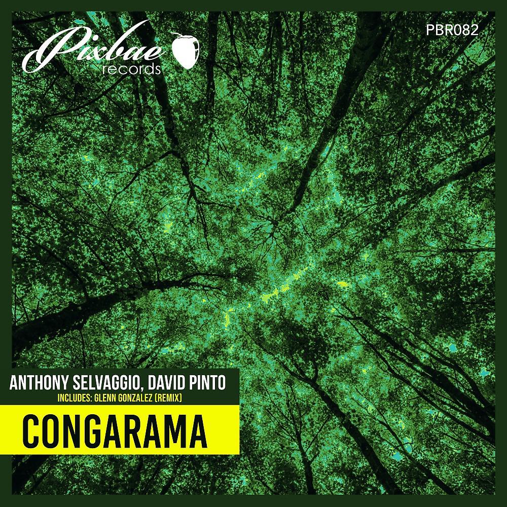 Релиз Congarama