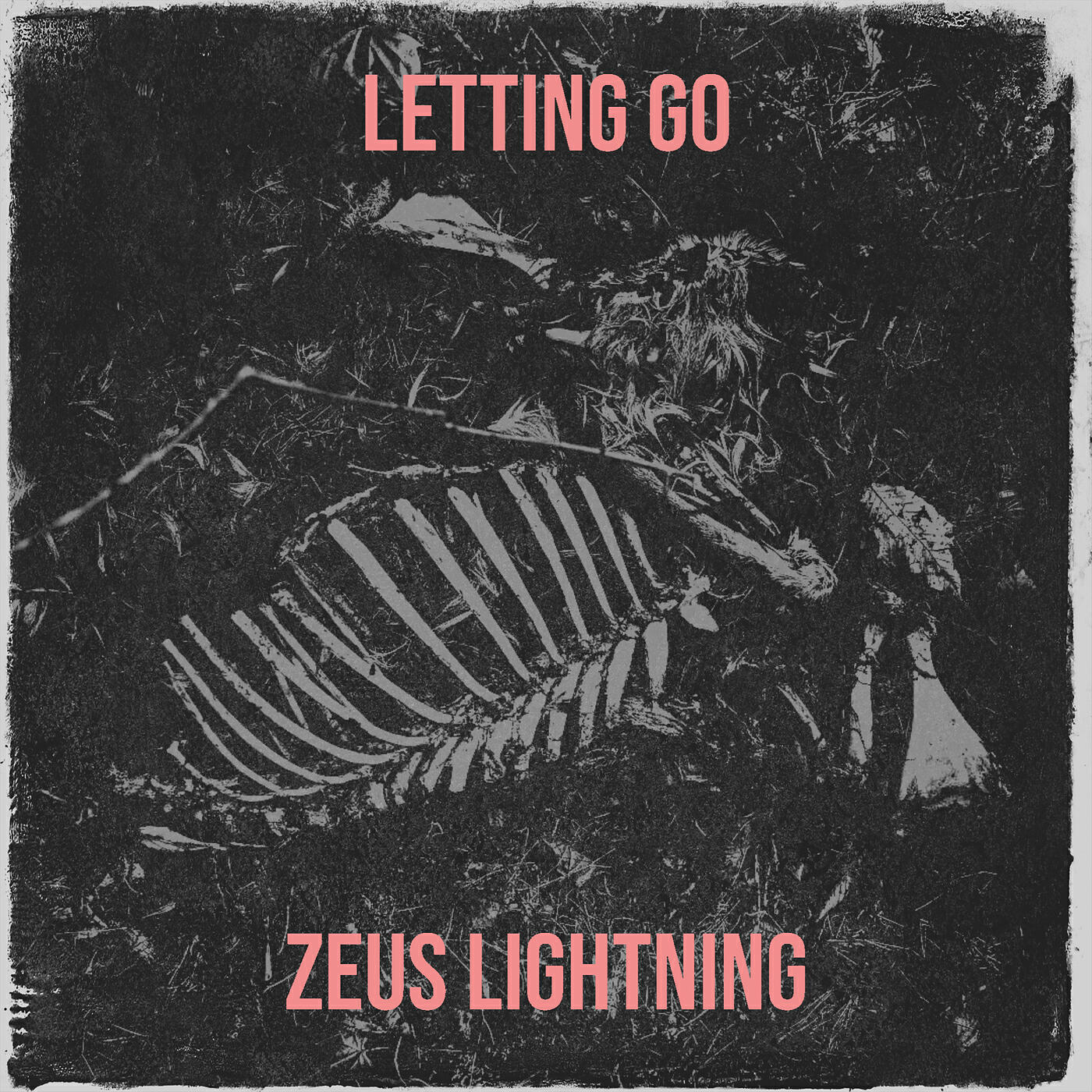Релиз Letting Go