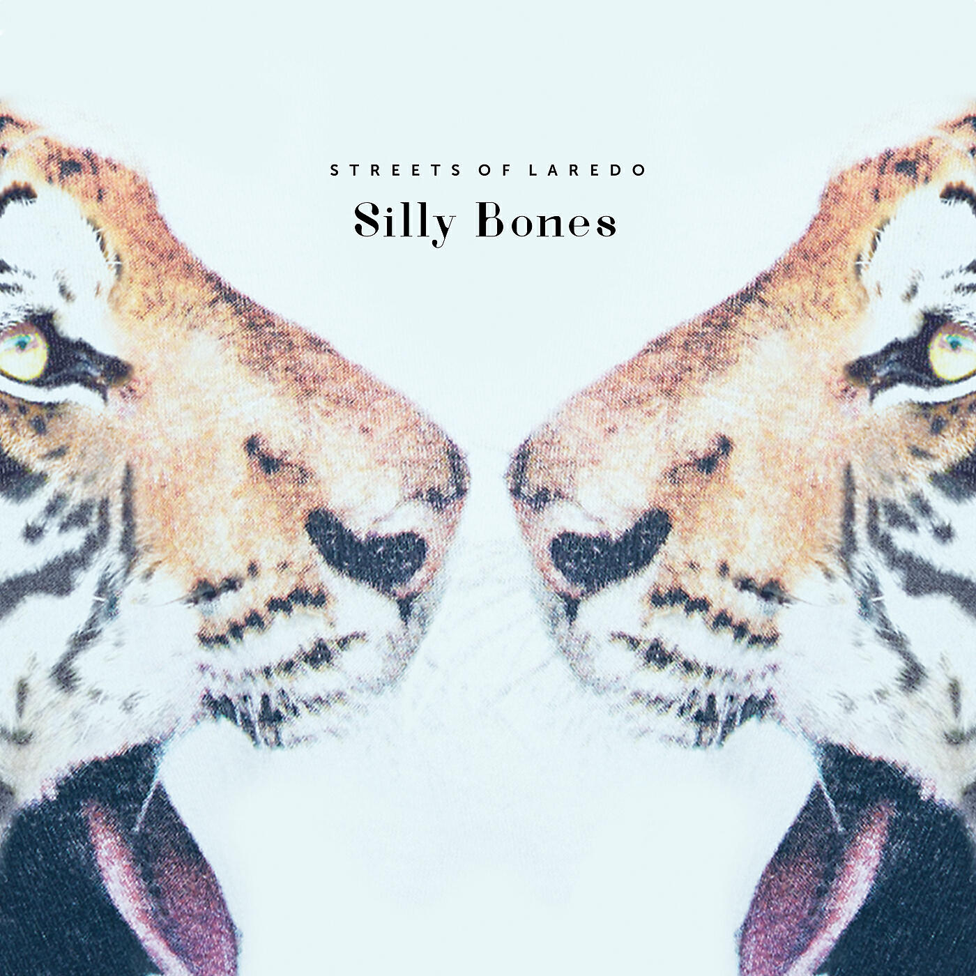 Релиз Silly Bones