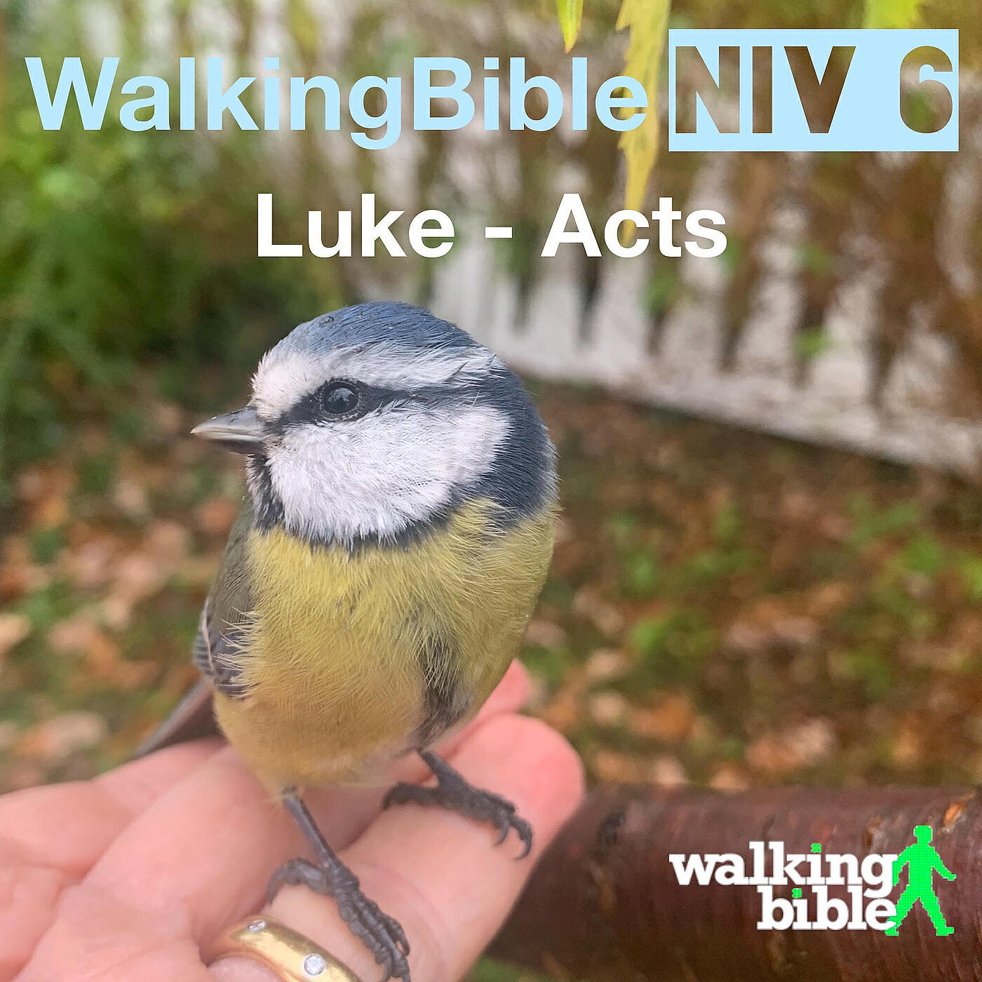 Релиз WalkingBible Niv 6 Luke - Acts