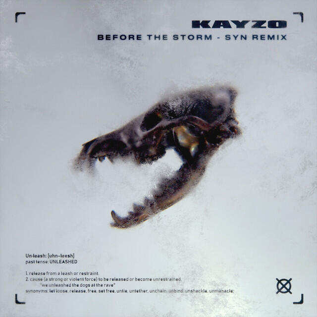 Релиз Before The Storm (SYN Remix)