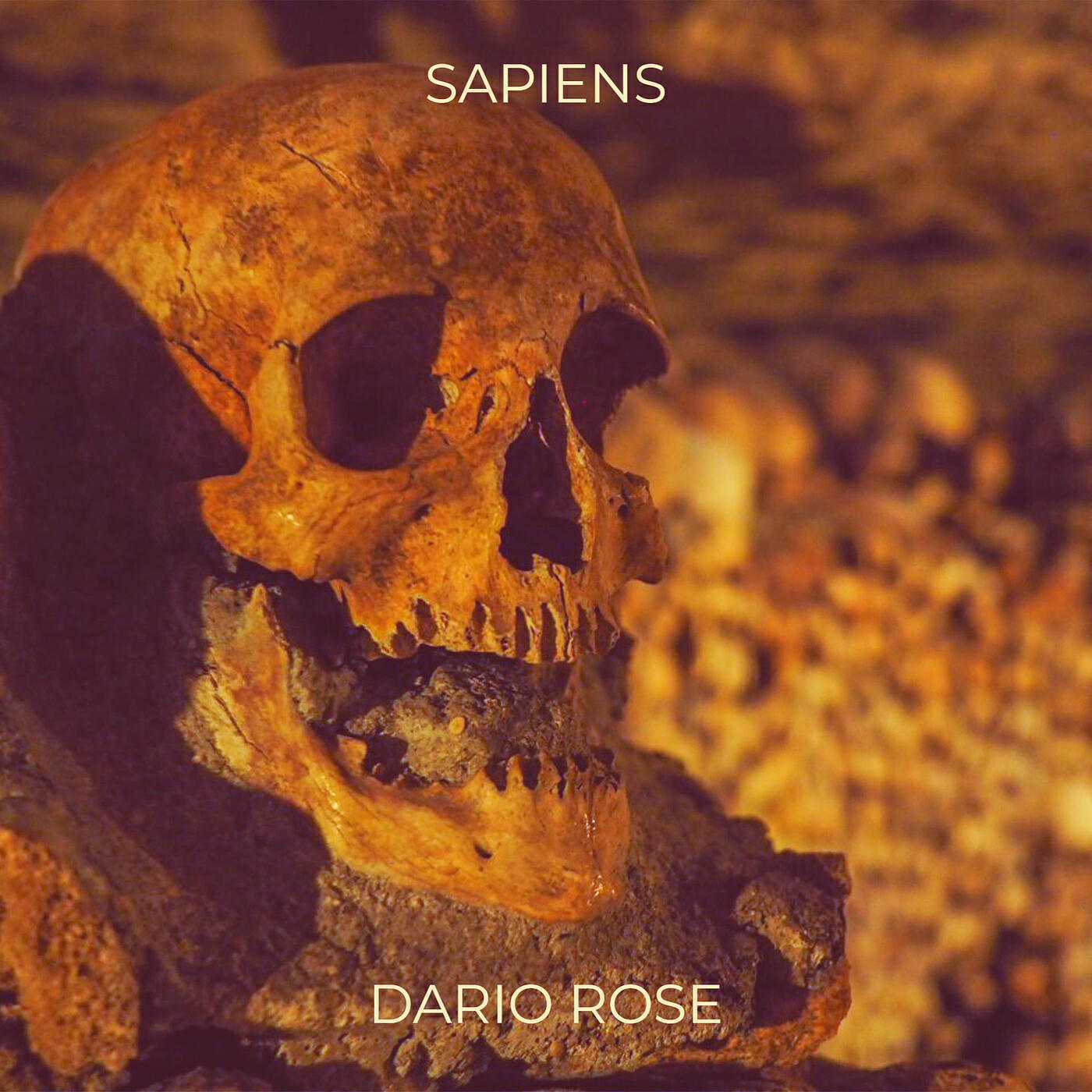Релиз Sapiens