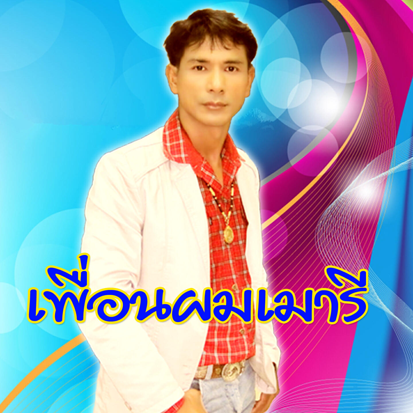 Постер альбома เพื่อนผมเมารี