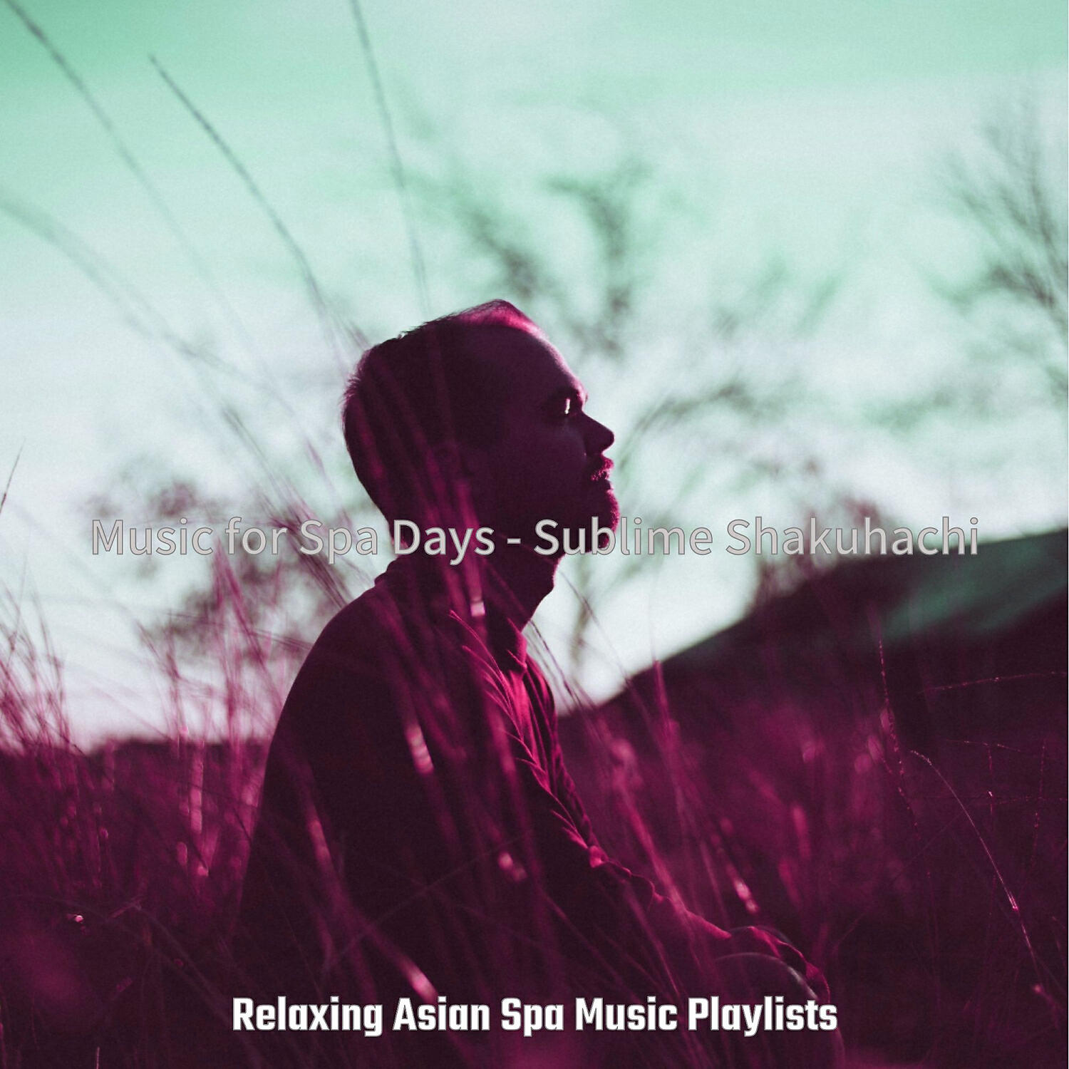 Релиз Music for Spa Days - Sublime Shakuhachi