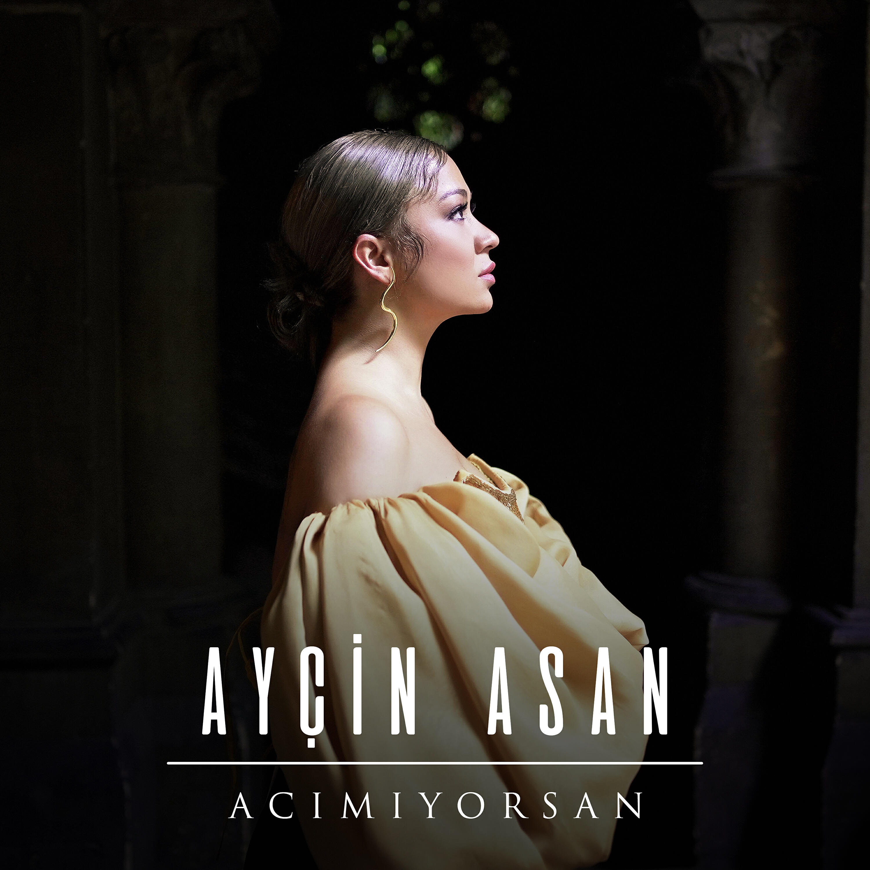 Релиз Acımıyorsan