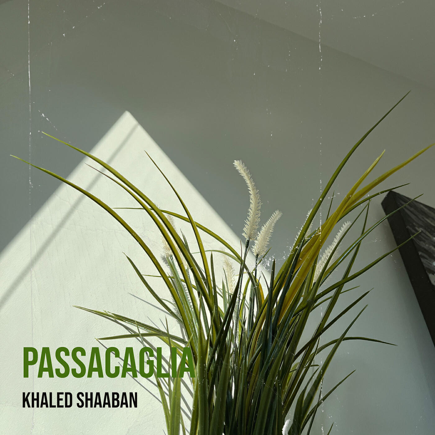 Релиз Passacaglia