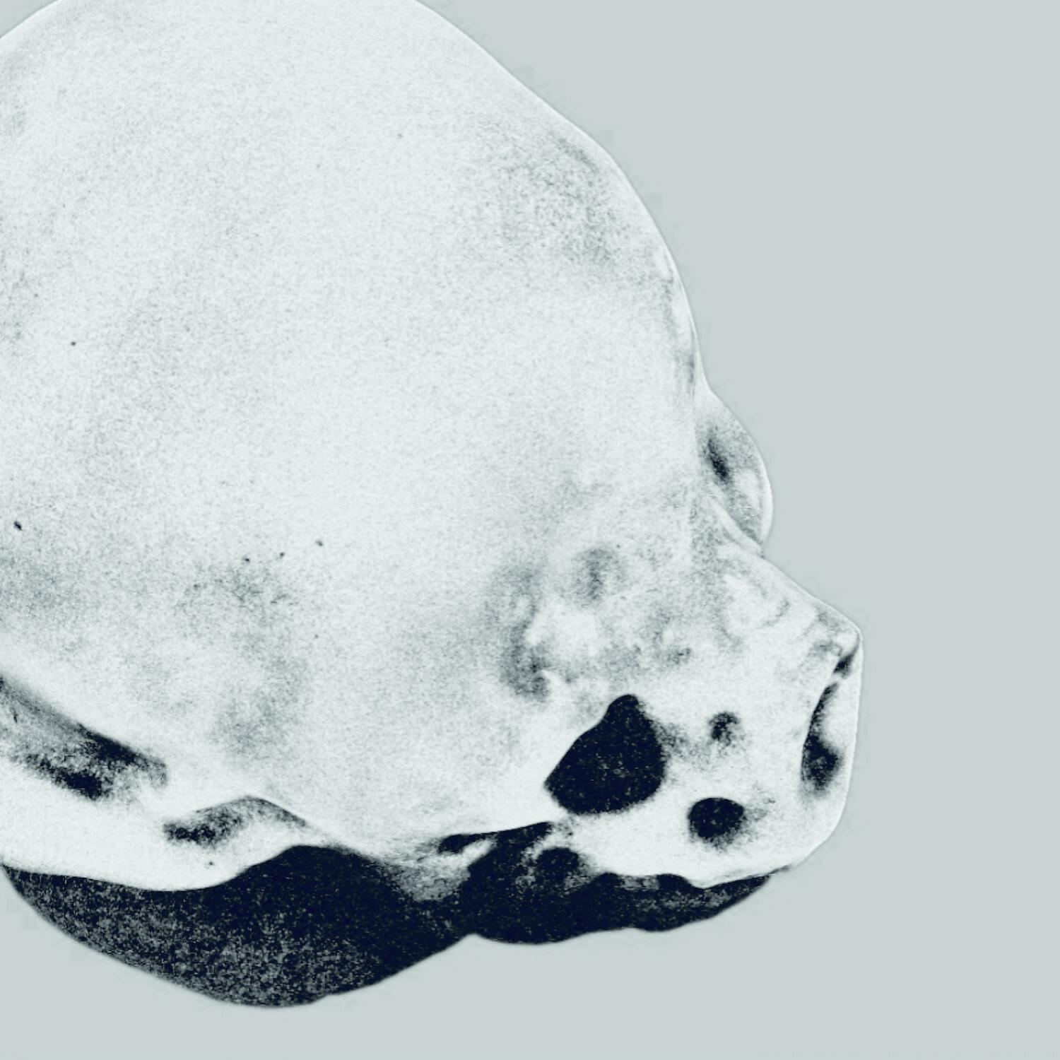 Релиз Isopod
