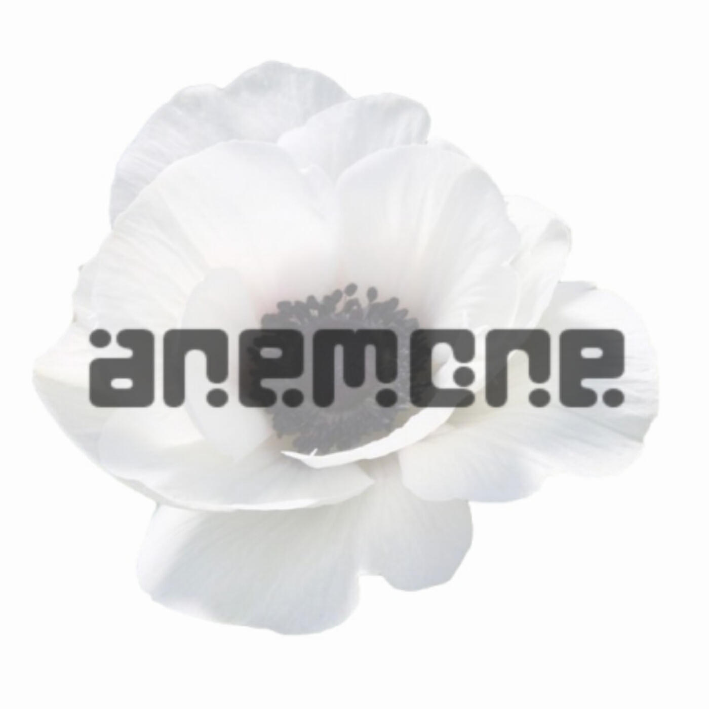 Релиз ANEMONE