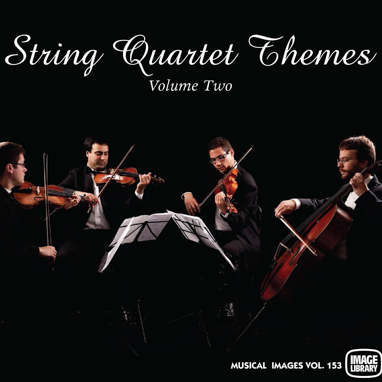 The Image Orchestra