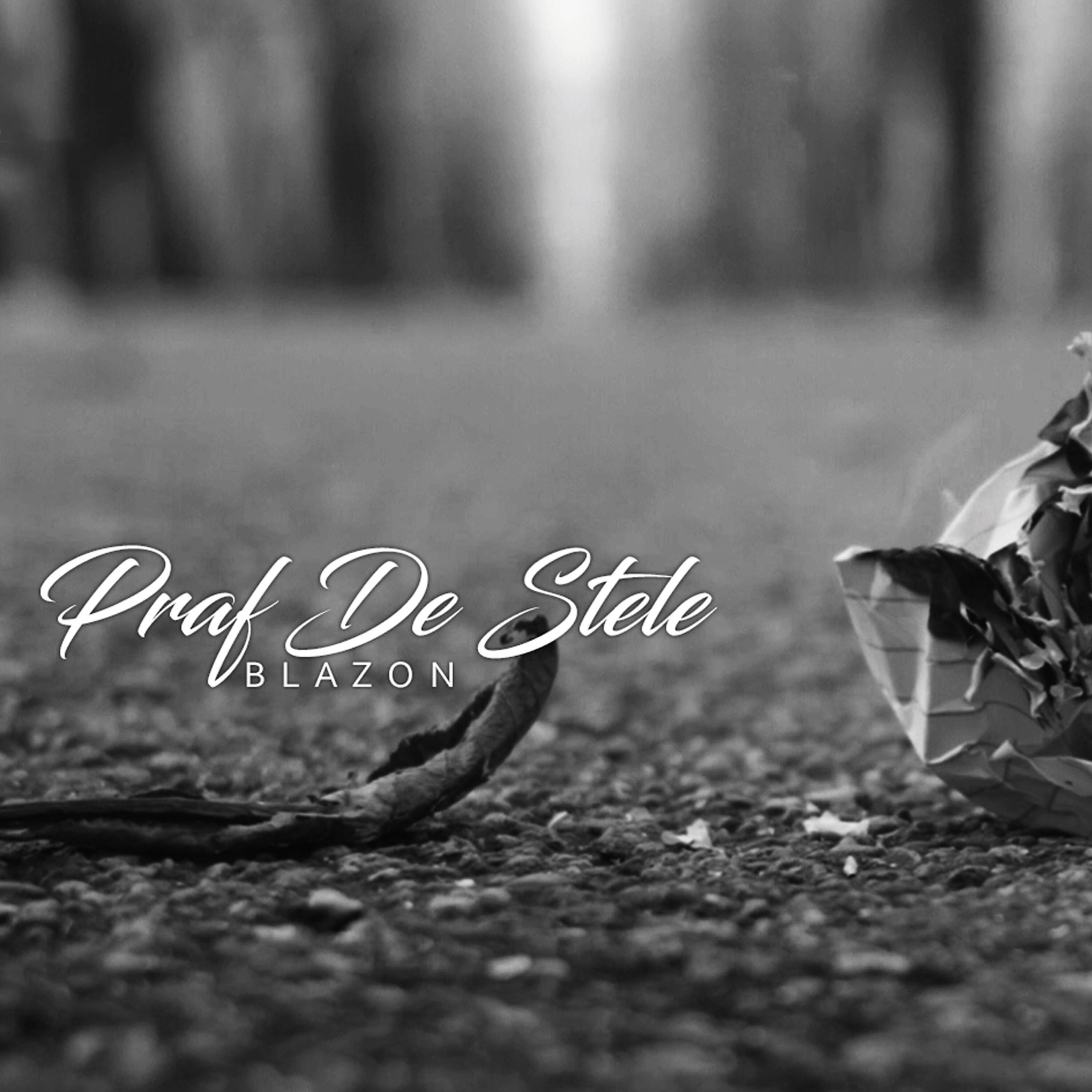 Релиз Praf De Stele